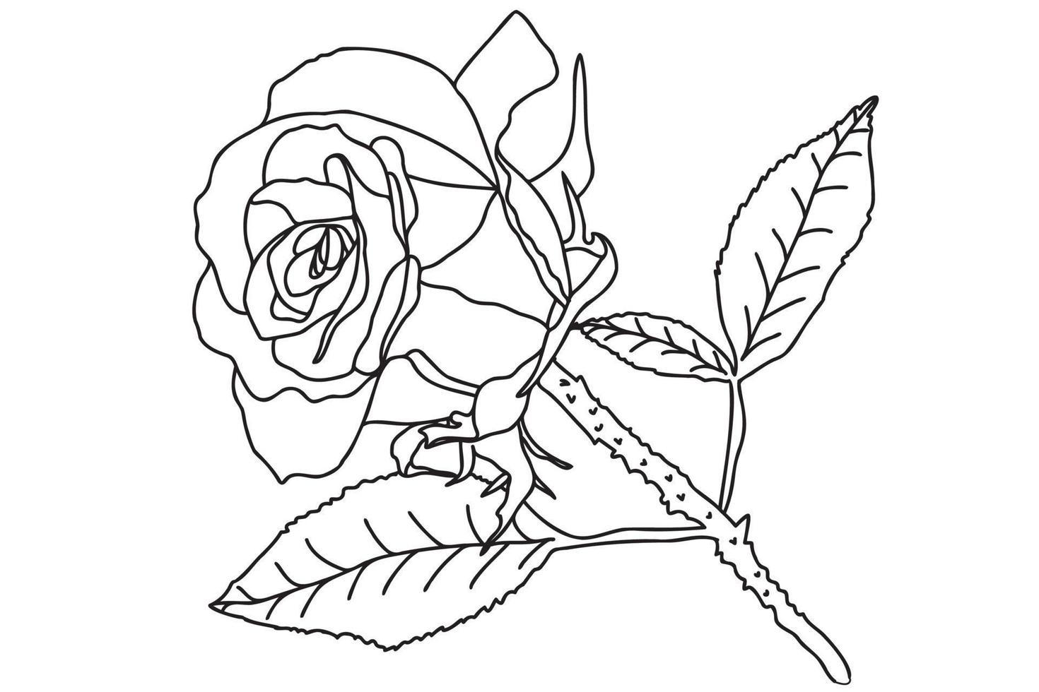 se dibuja una sola rosa con un contorno negro, está pensada para tatuajes,  impresiones, tarjetas, impresión de telas, 8 de marzo, san valentín,  etiquetas, logotipos y otras ocasiones. 9969924 Vector en Vecteezy