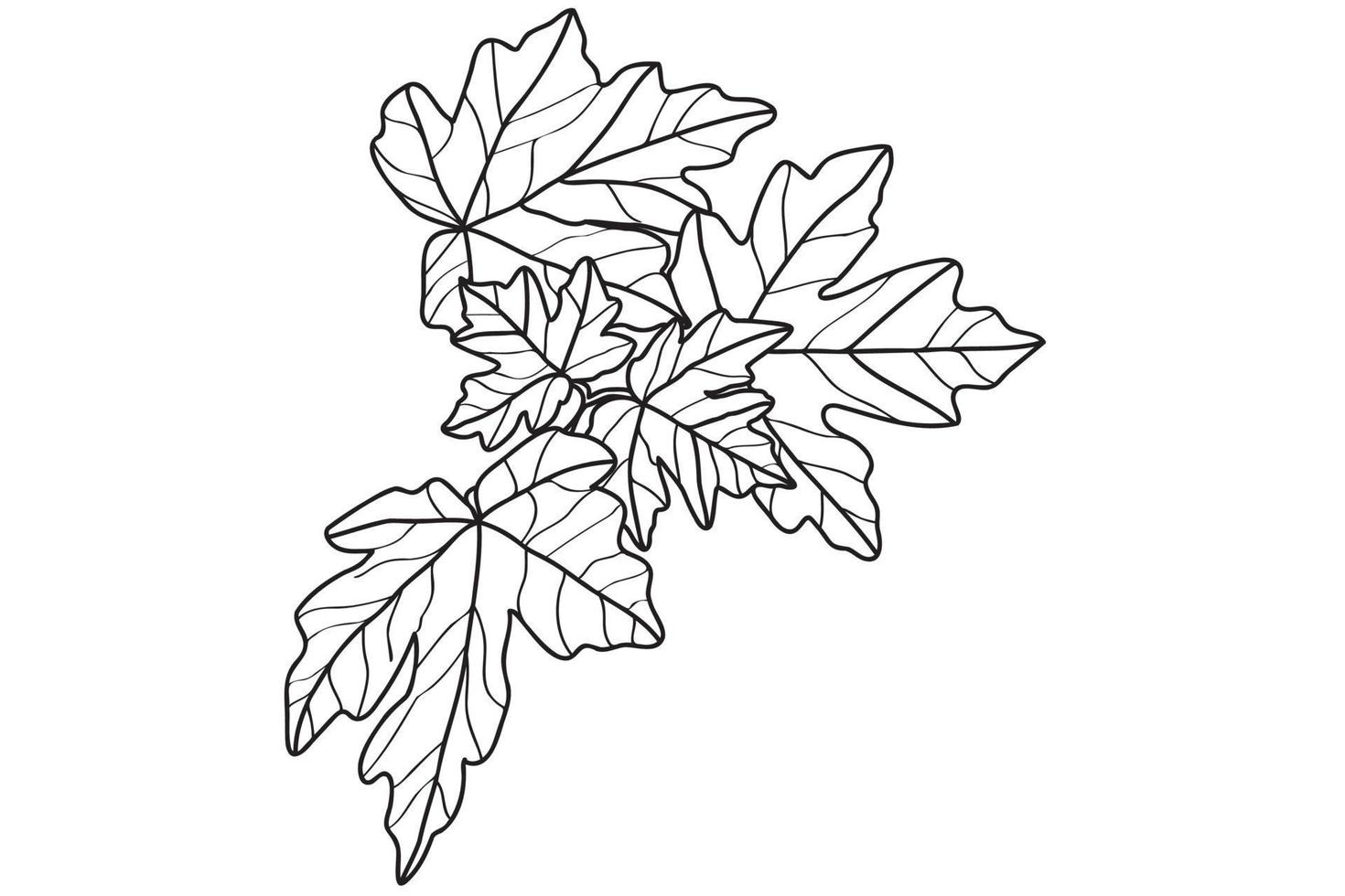 Maple Leaf Print Coloring Book Page Interior Sticker Design Line Art Maple  Label Leaf Tshirt Design Stock Illustration - Download Image Now - iStock