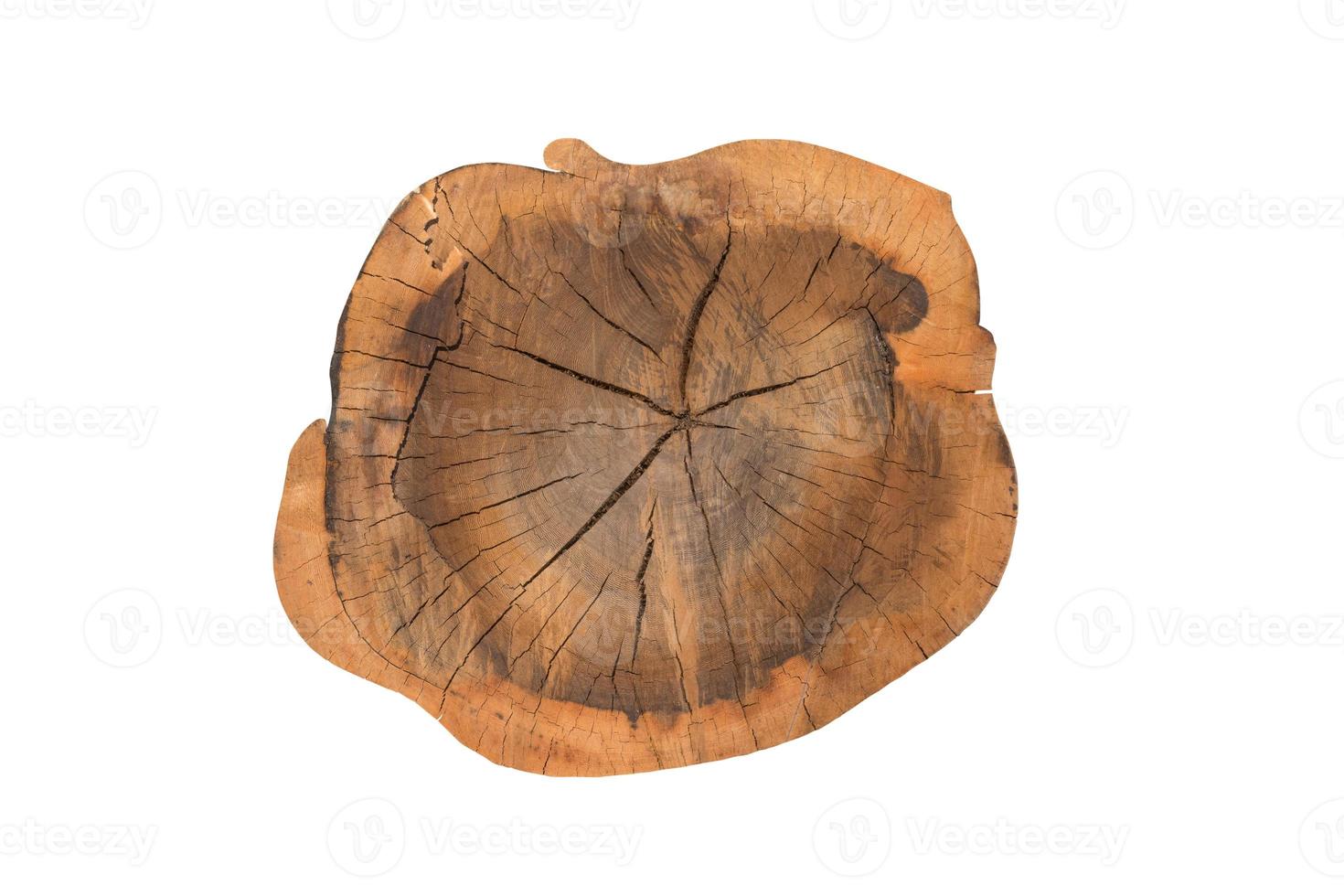 Stump Tree Ring isolated on white background, Clipping path photo