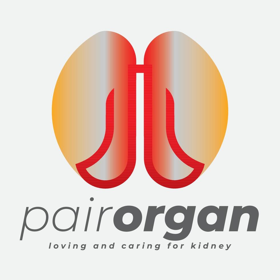 Body and Kidney Organ Logo vector