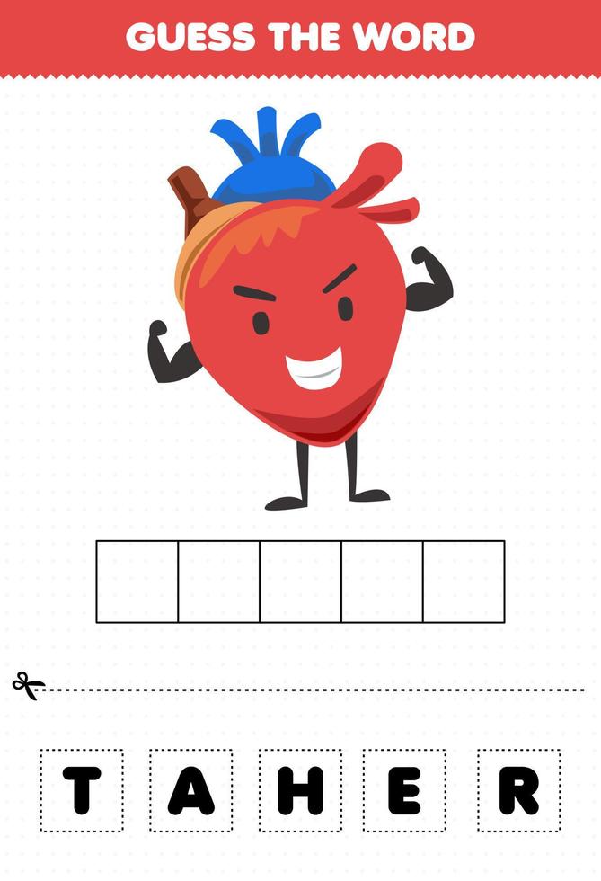 juego educativo para niños adivina la palabra letras practicando dibujos animados lindo órgano interno corazón vector