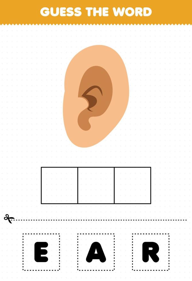 juego educativo para niños adivina la palabra letras practicando dibujos animados lindo anatomía humana oído vector