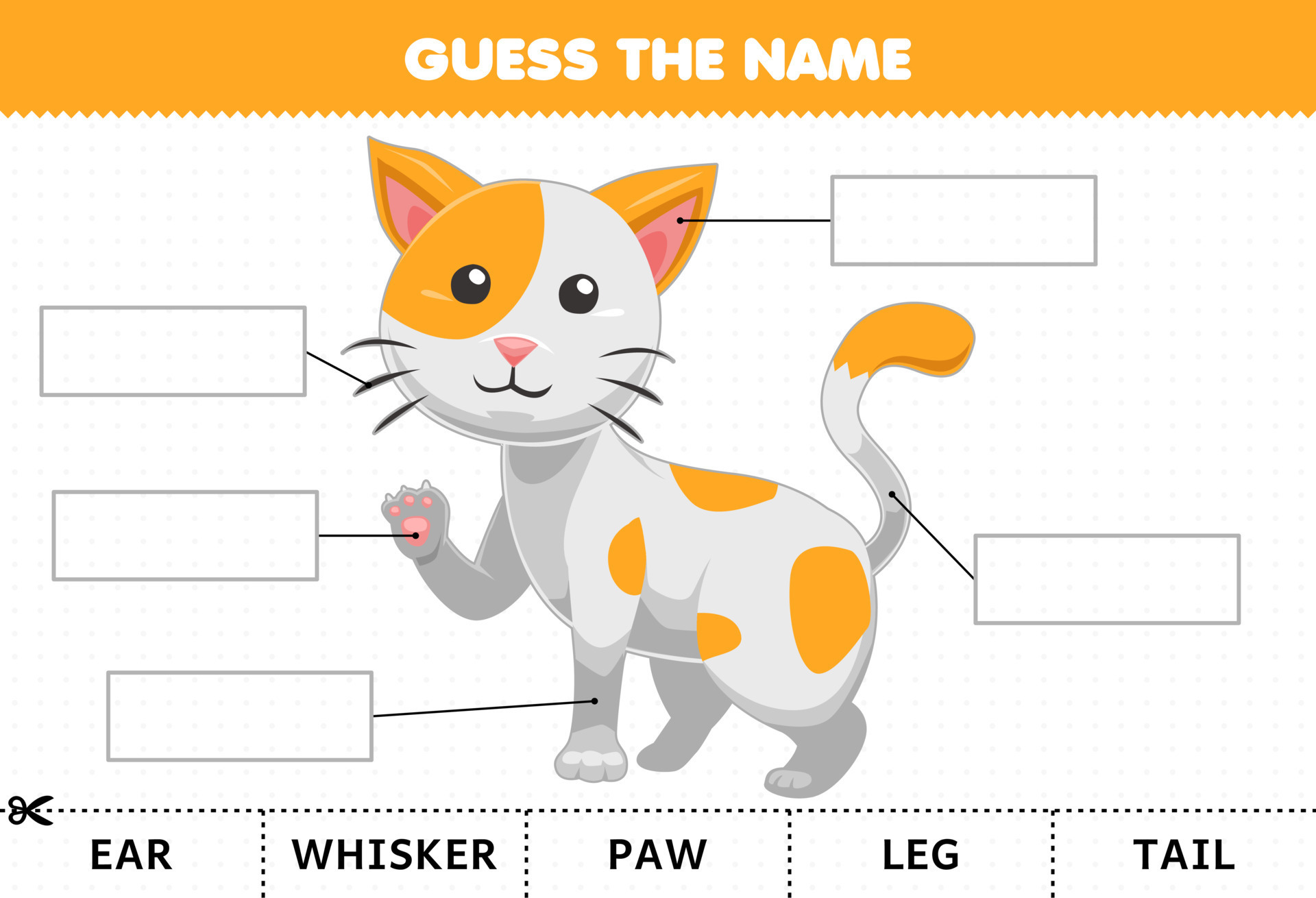 Education Game For Children Guess The Name Of Cute Cartoon Cat Body education-game-for-children-guess-the-name-of-cute-cartoon-cat-body
