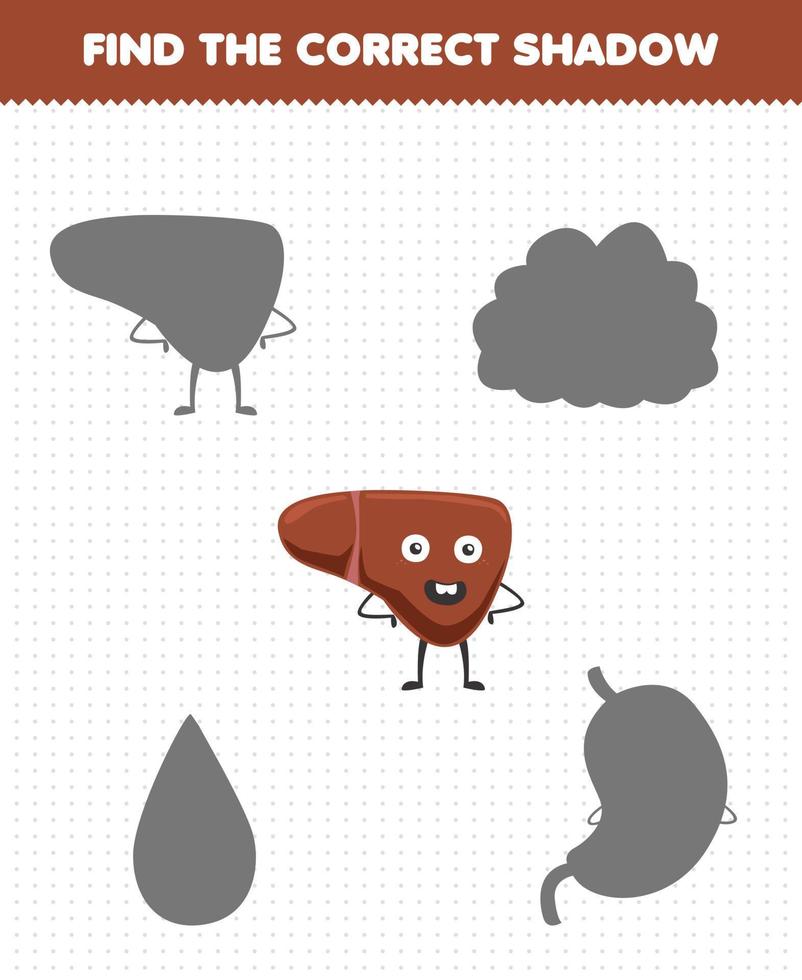 Education game for children find the correct shadow set of cute cartoon human organ liver vector