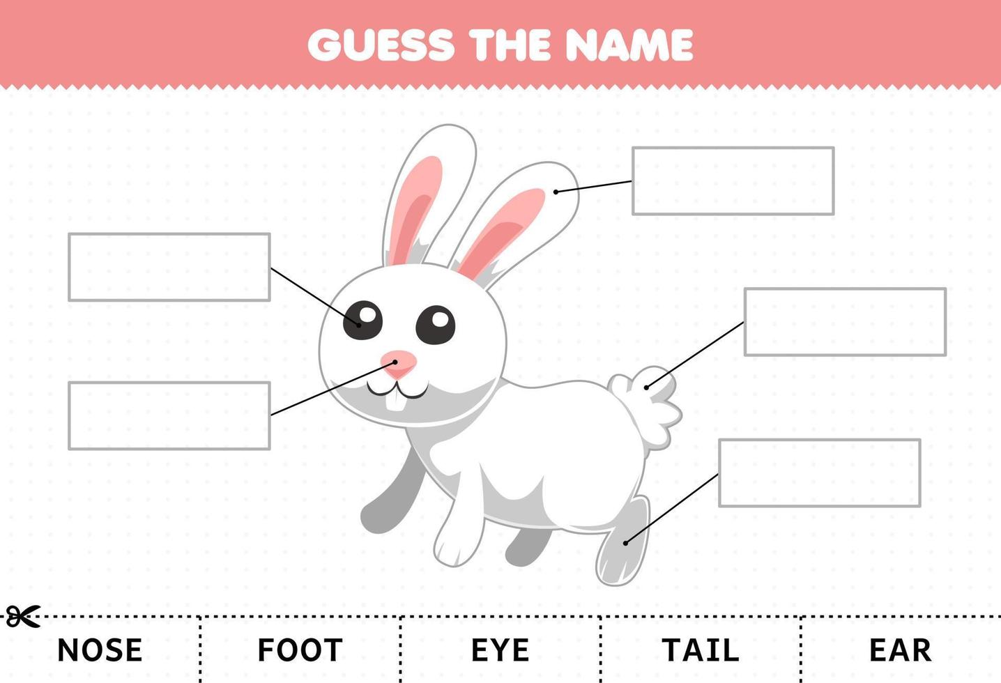 Education game for children guess the name of cute cartoon rabbit body part worksheet vector