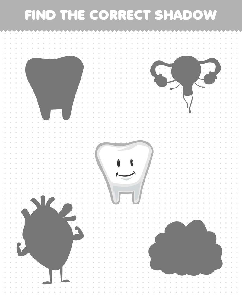 Education game for children find the correct shadow set of cute cartoon human organ tooth vector