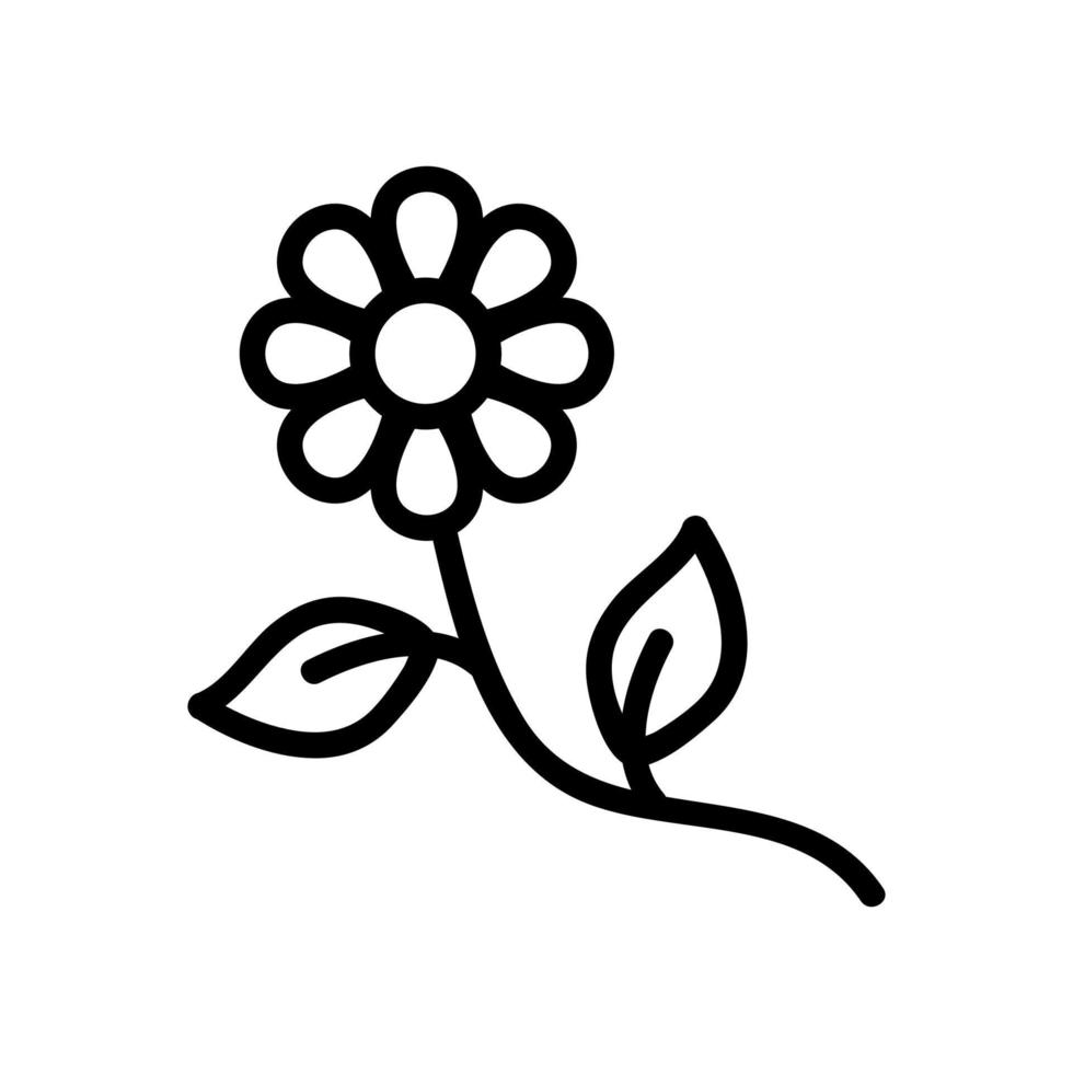 chamomile flower icon vector outline illustration