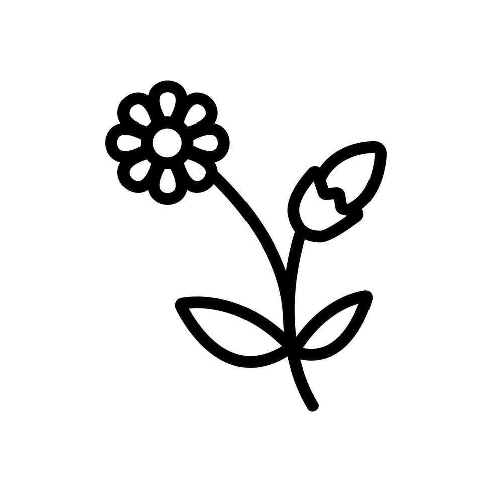 chamomile blooming flower icon vector outline illustration