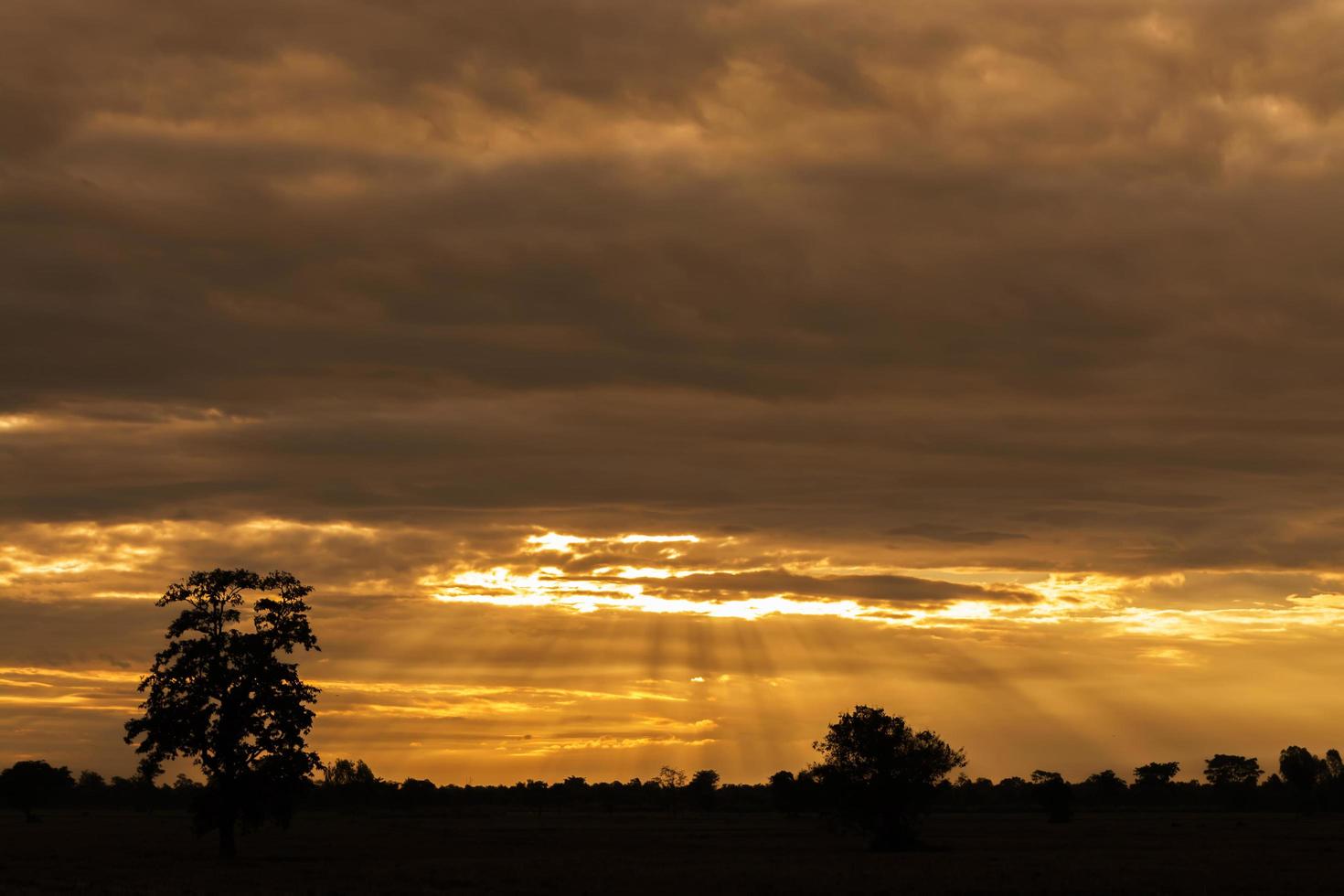 cielo con nubes. fondo del cielo del amanecer foto