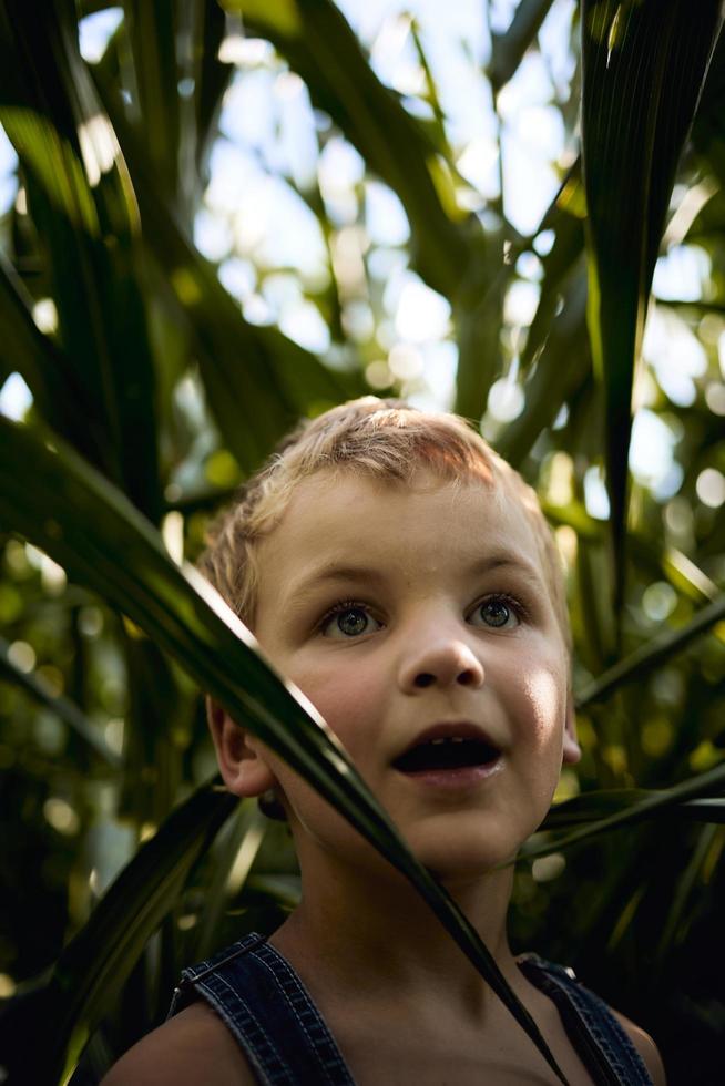 Little boy playing on countryside photo