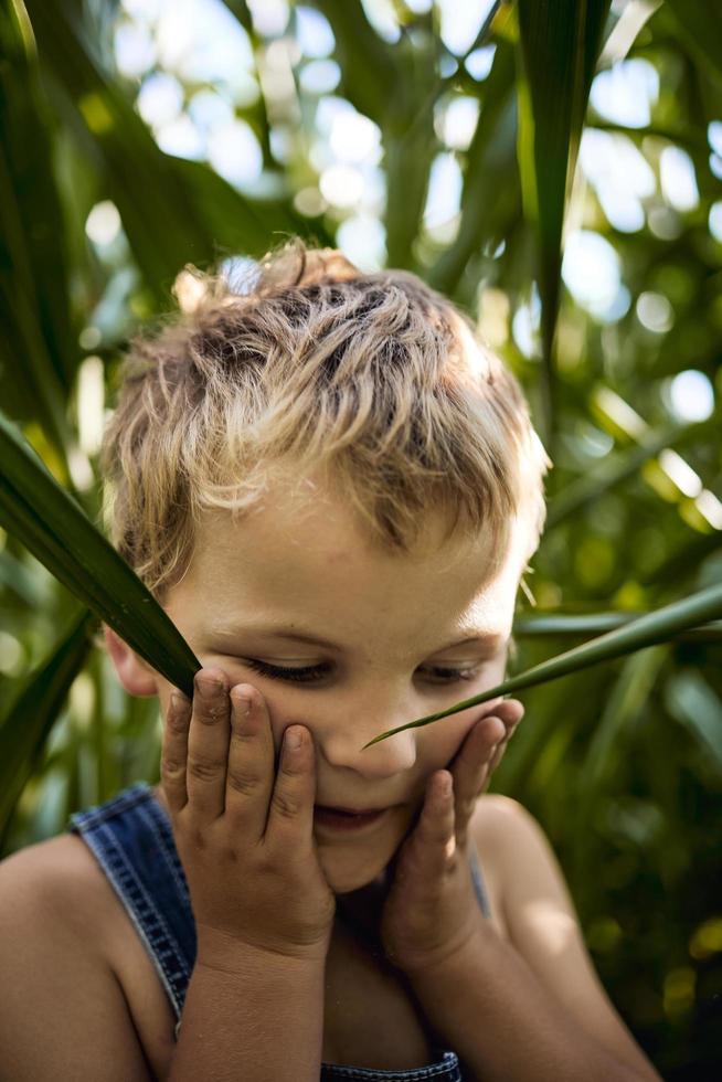 Little boy playing on countryside photo