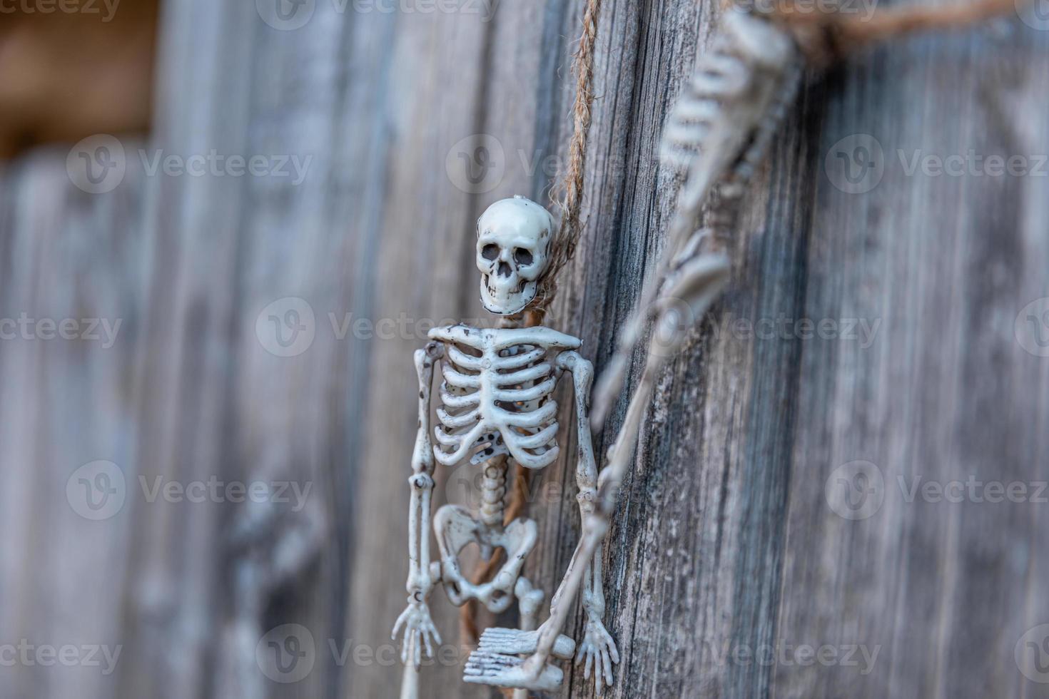 Trick or Treat concept. Preparation for Halloween party. Scary traditional decoration skeleton monster with scary face hanging on wooden background. Autumn fall happy Halloween. photo