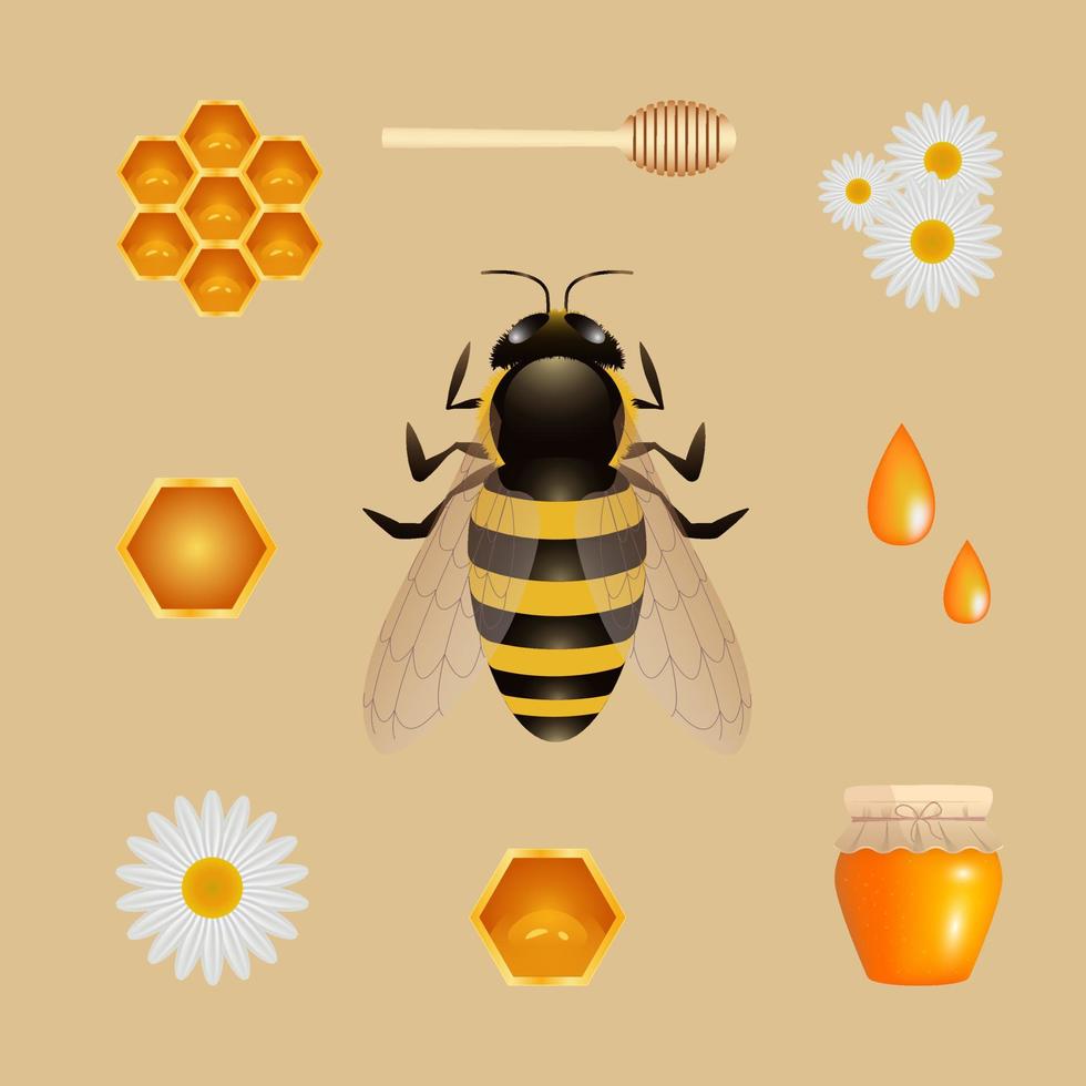 conjunto de miel. Elementos de la apicultura. panal, abeja, cuchara, tarro, flores. vector