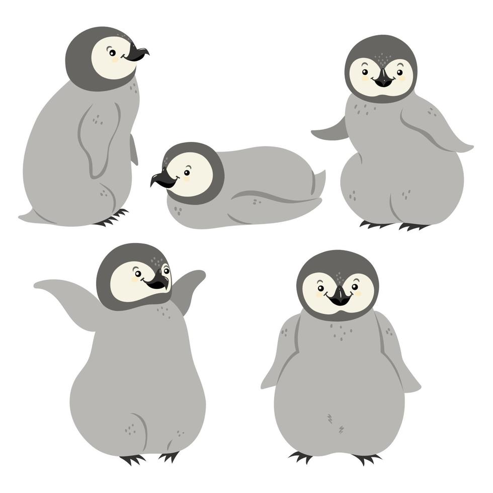 Set of penguins isolated on a white background. Vector graphics.