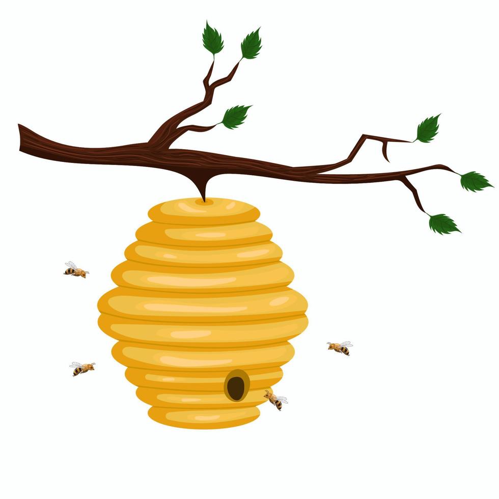 Beehive of wild bees hanging on a branch. Vector graphics isolated on white background.