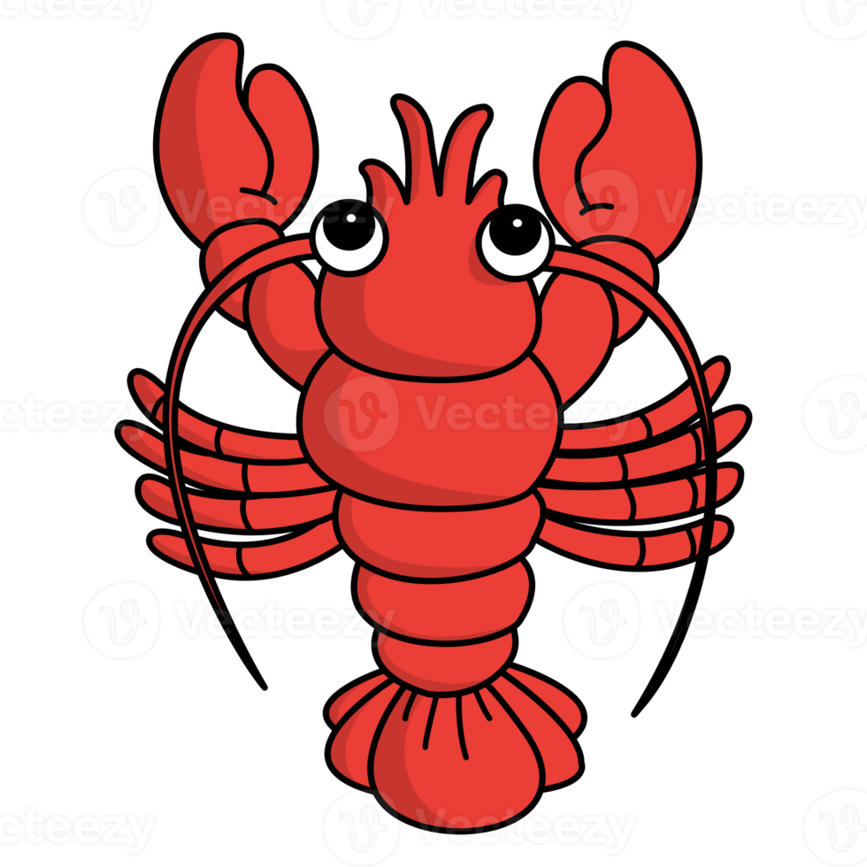 Shrimp coloring cartoon design on transparent background png