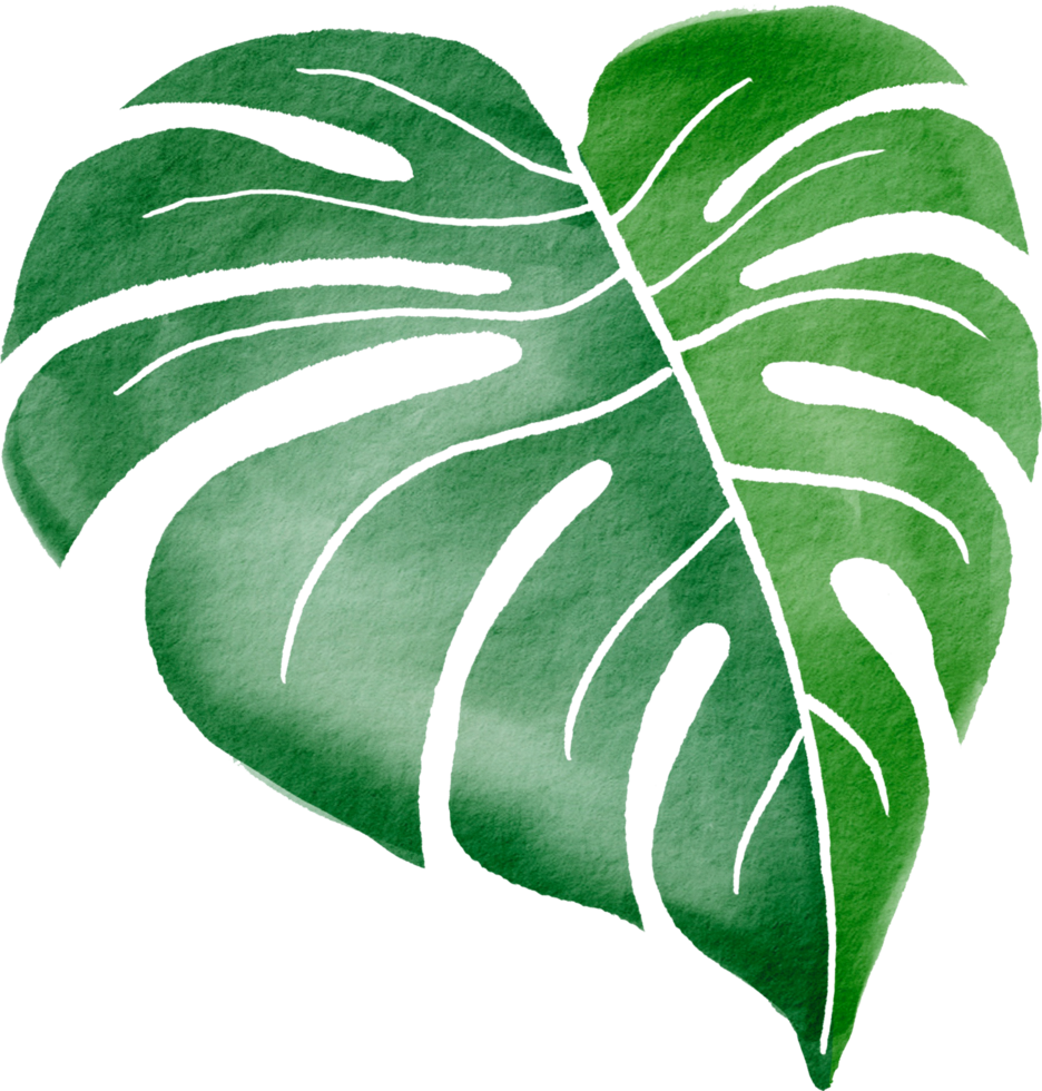 Cutout monstera leaf watercolor simplicity painting. png