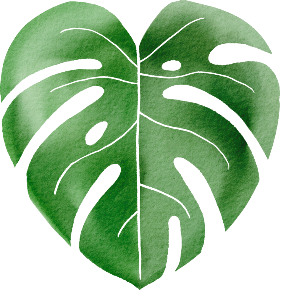 Cutout monstera leaf watercolor simplicity painting. png