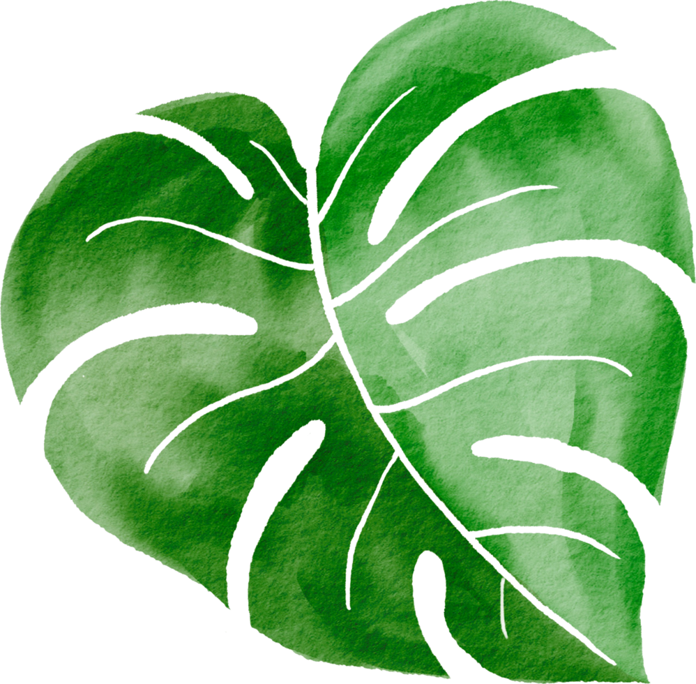 Cutout monstera leaf watercolor simplicity painting. png