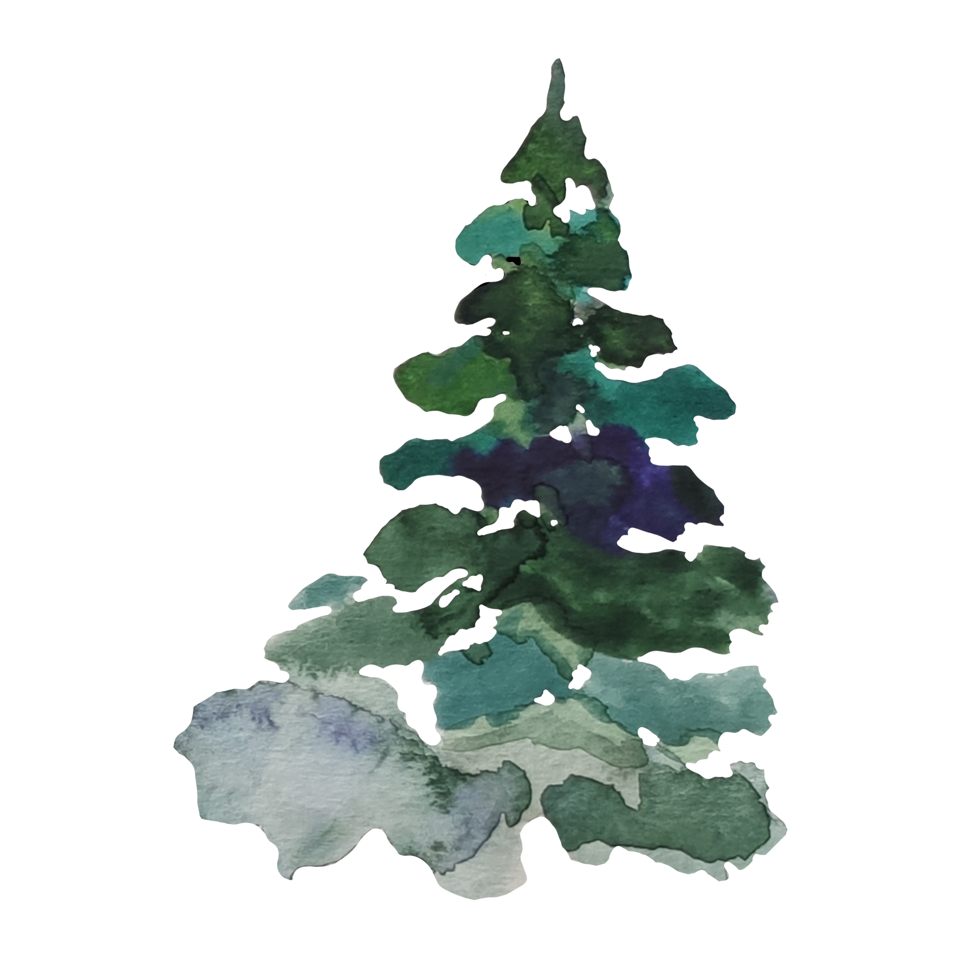 Christmas tree, pine watercolor illustration 9974253 PNG