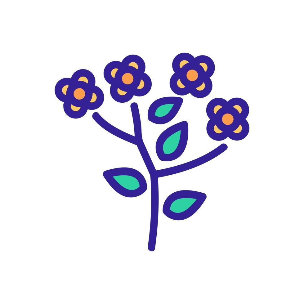 flor de canola flores icono vector contorno ilustración