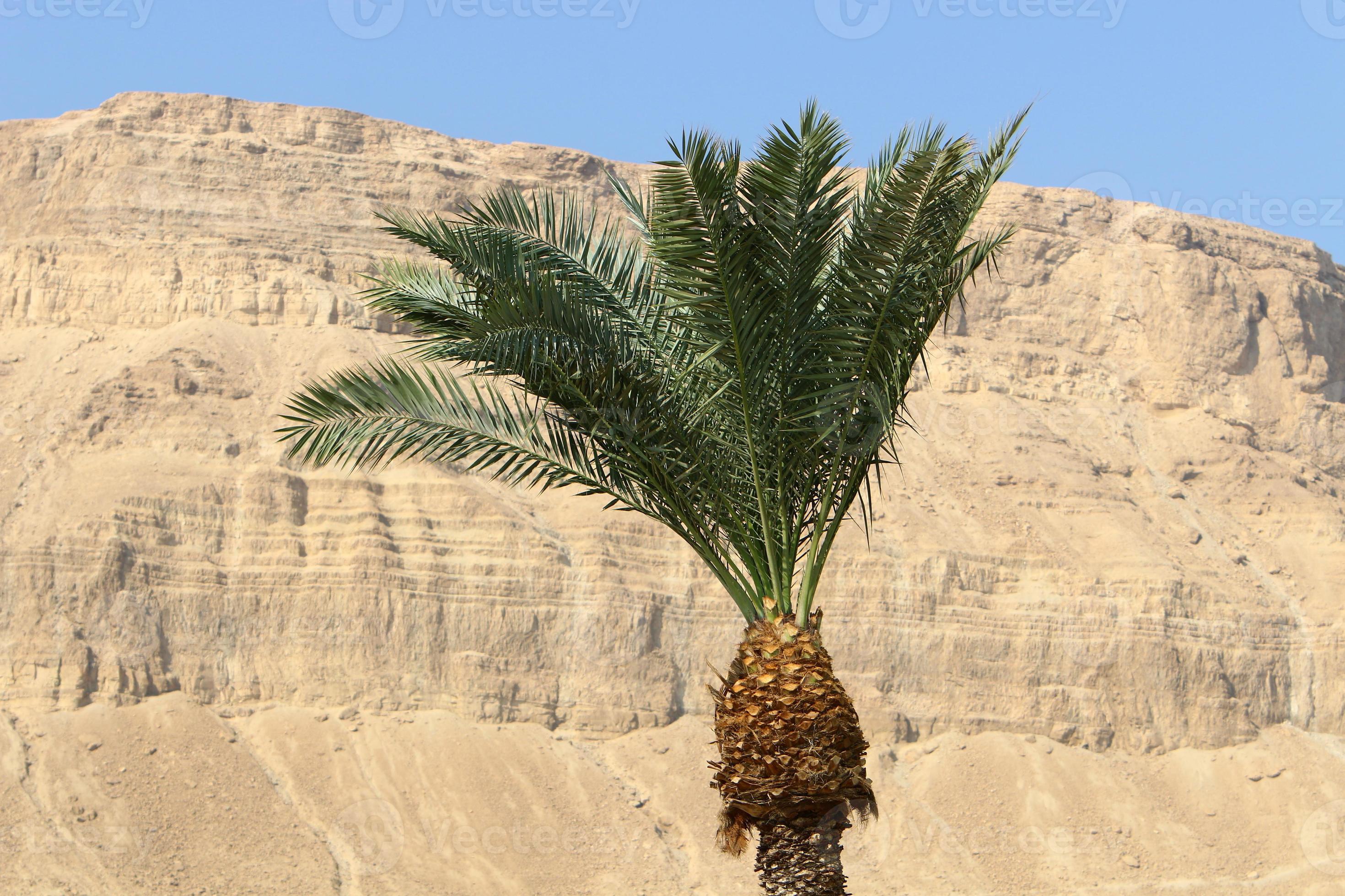 The Judean Desert in the Middle East, located on the territory of Israel and the West Bank of