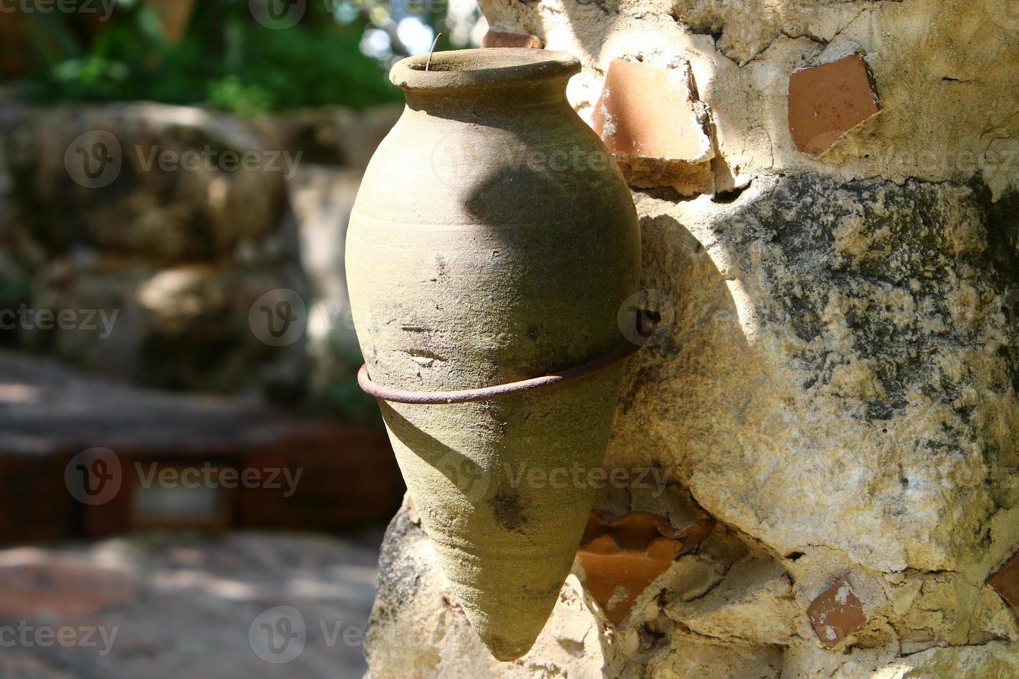 Green plants and flowers grow in a flower pot photo