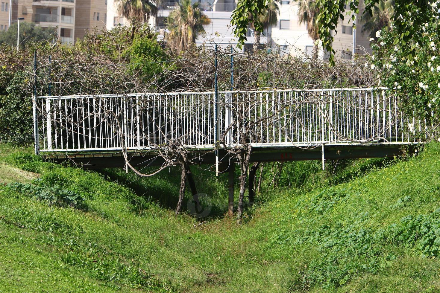 Bridge over a river in Israel. photo