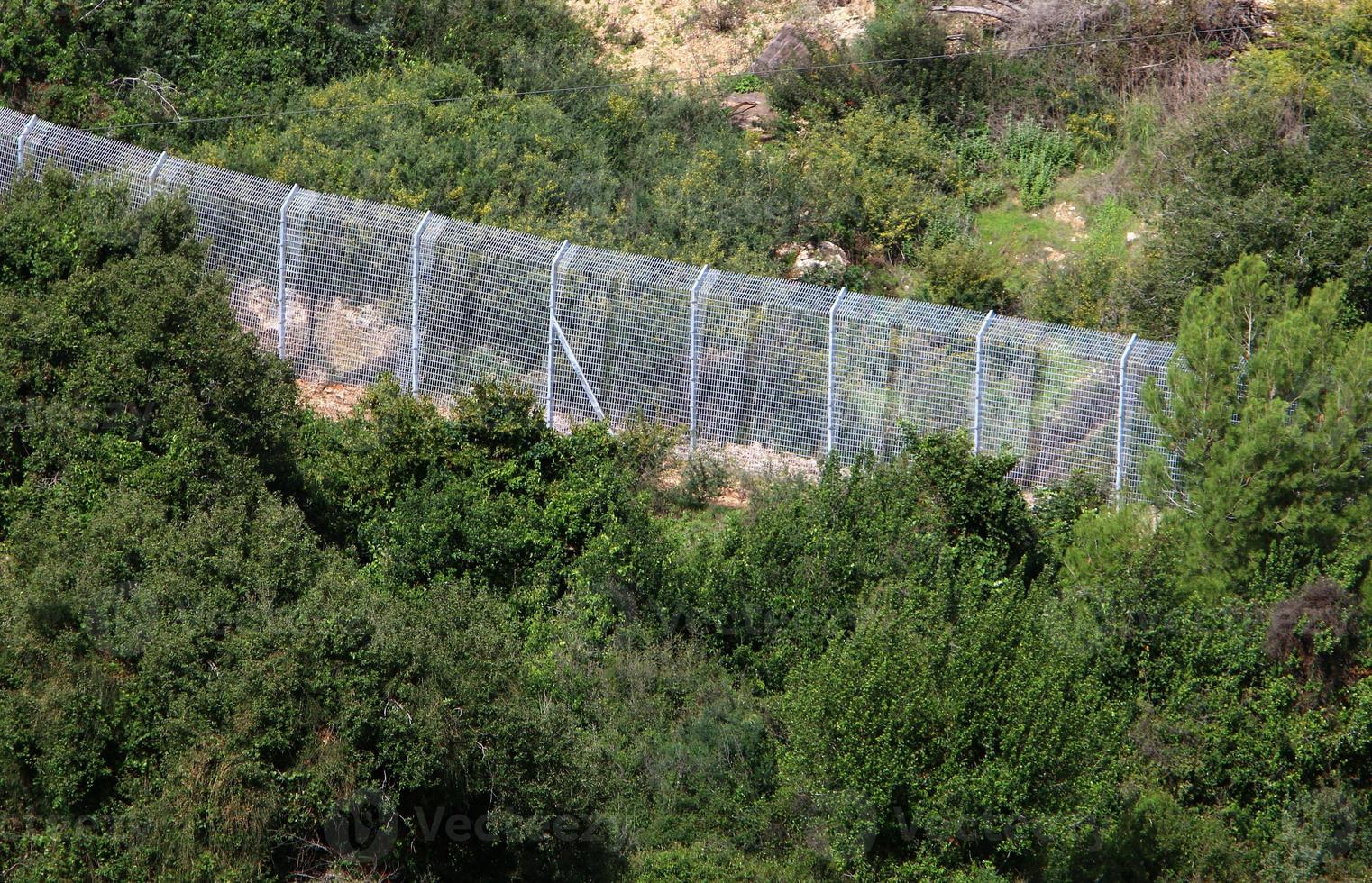 Plants and flowers grow along the high fence. photo