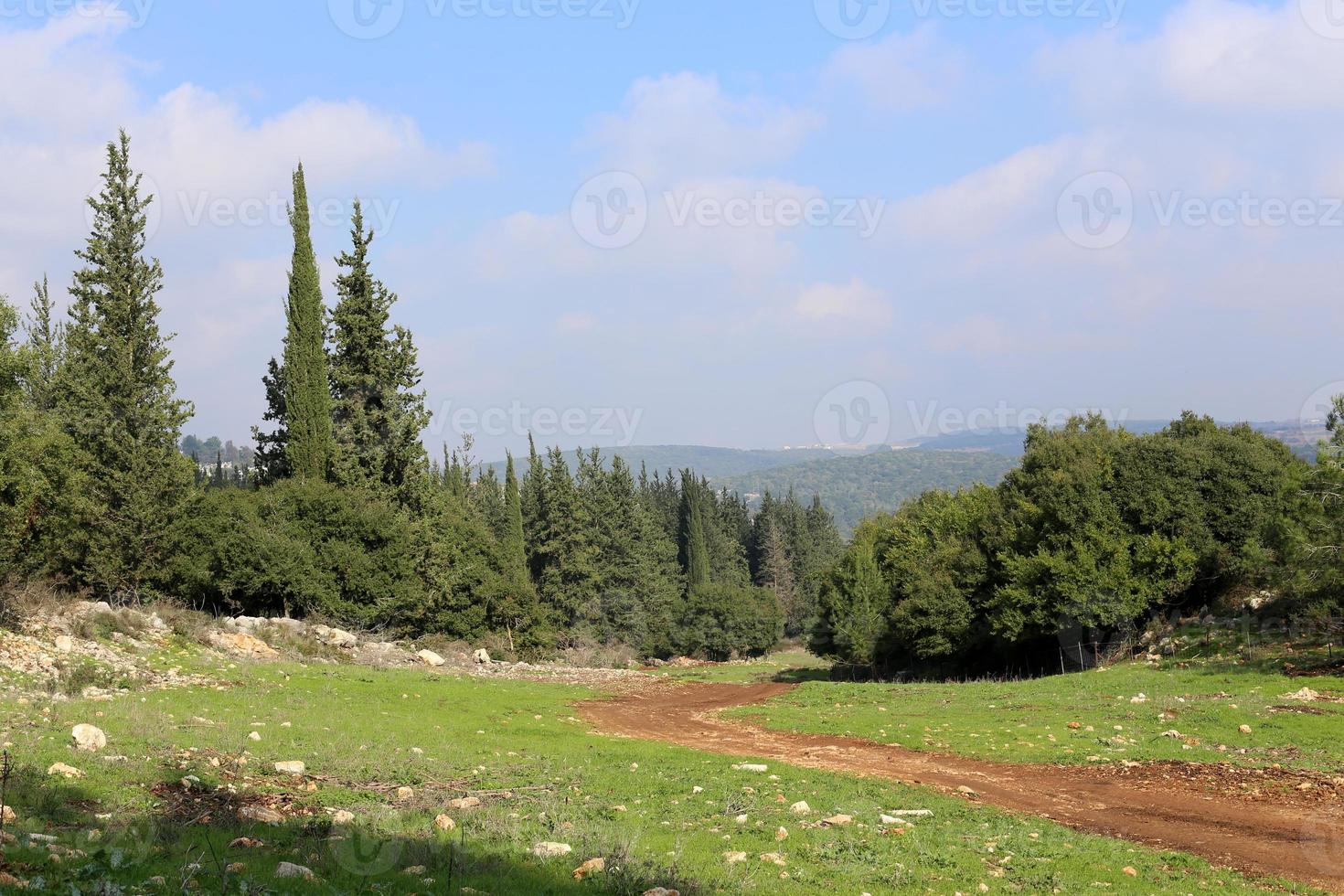 paisaje rural en el norte de israel. foto