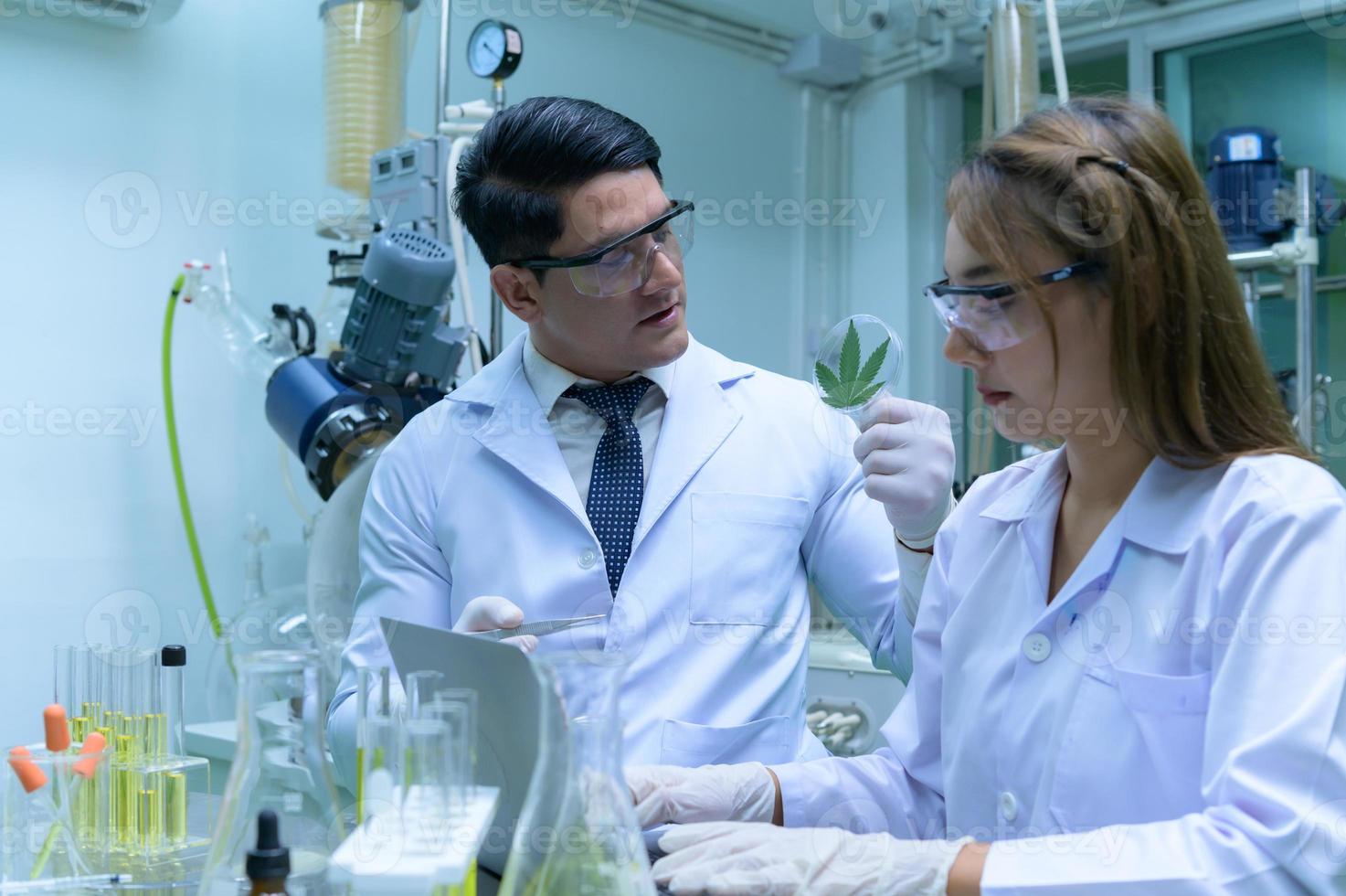 Scientists and assistants are in the oil and cannabis seed extractor room. The extracted cannabis oil is being tested and examined. photo