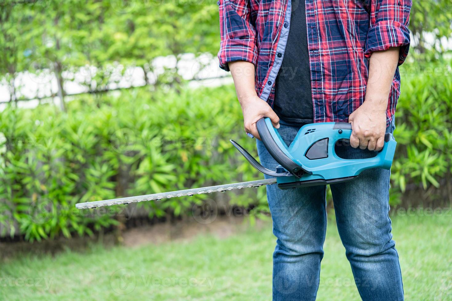 Gardener holding electric hedge trimmer to cut the treetop in garden. photo