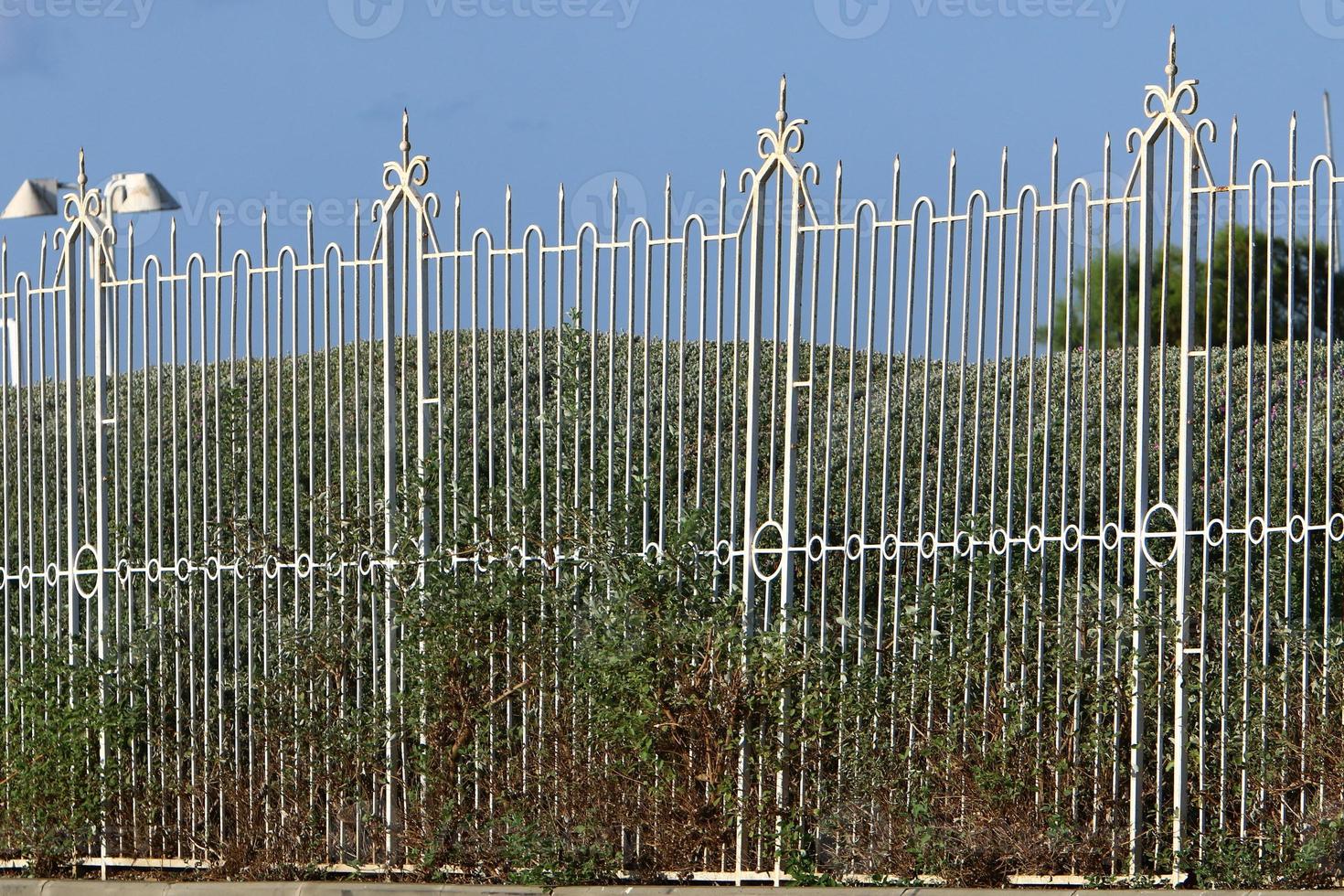 Plants and flowers grow along the high fence. photo