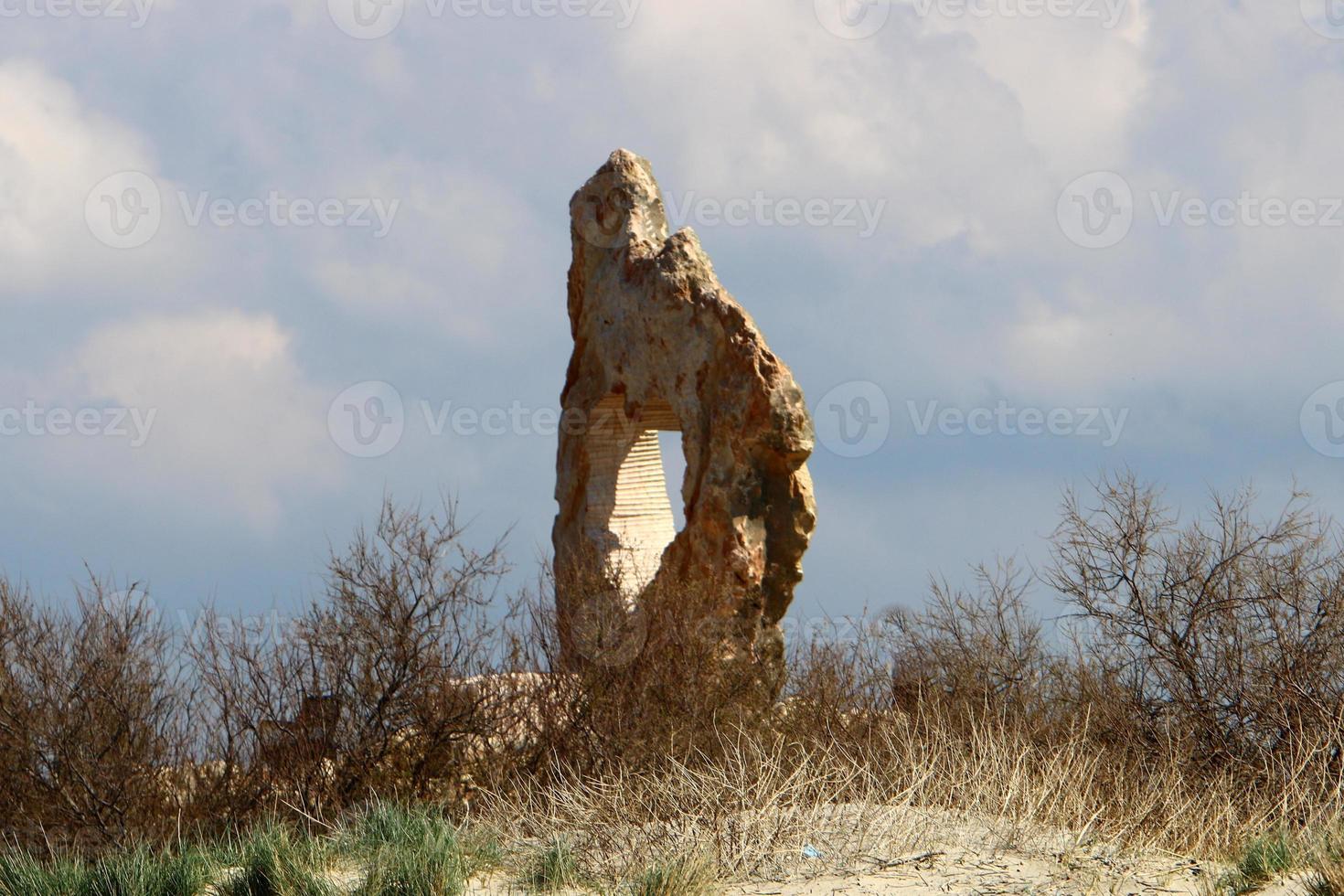 Stones in a city park on the Mediterranean coast photo