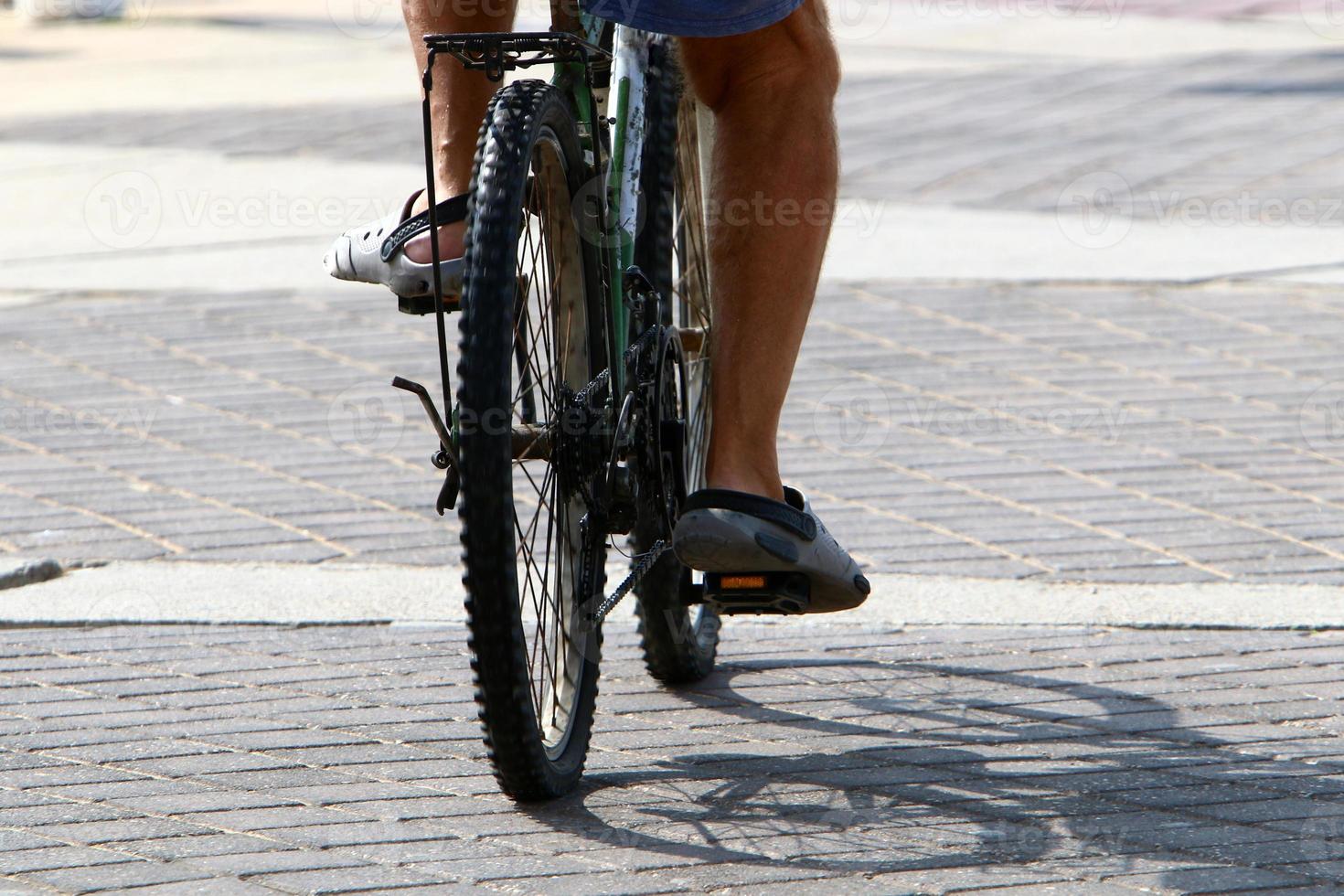 Bicycle - two-wheeled vehicle photo