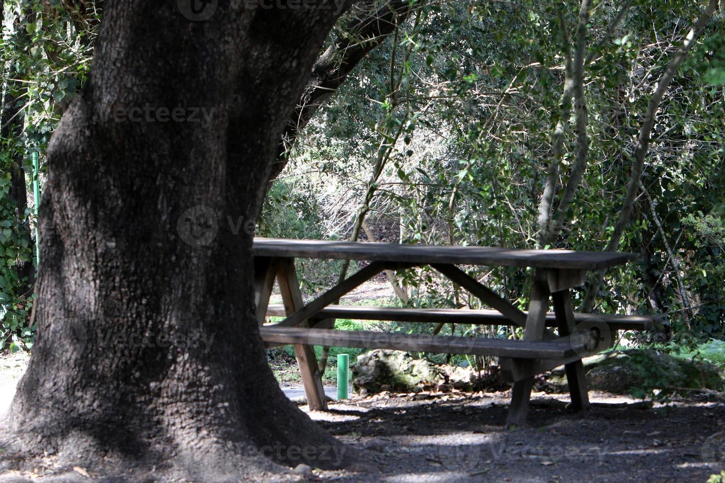 banco para descansar en el parque de la ciudad. foto