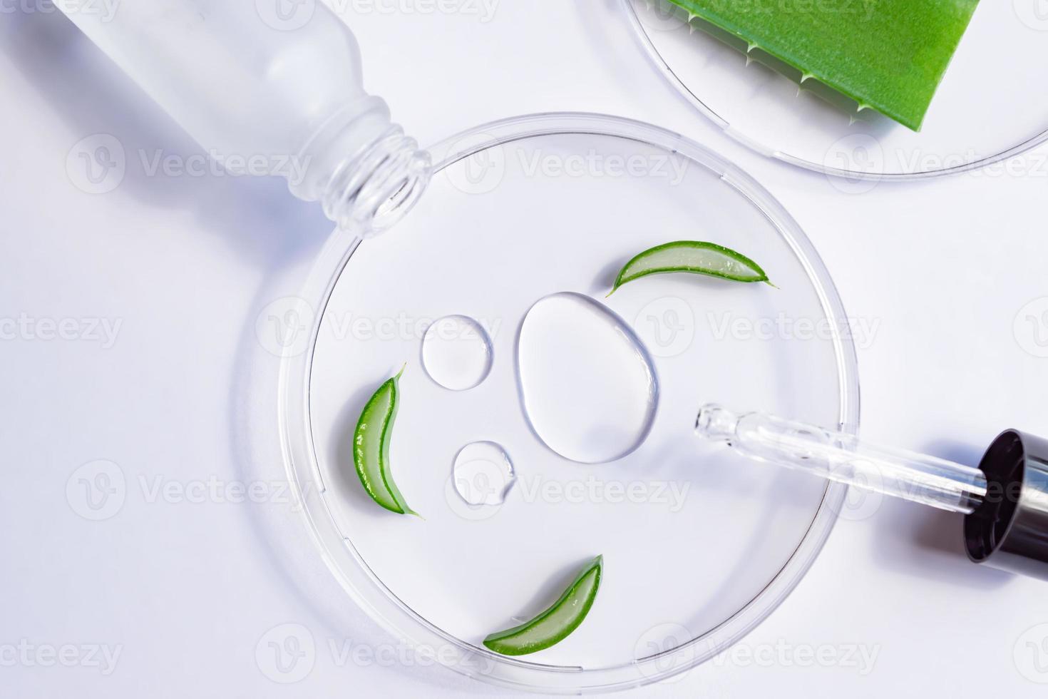 aloe vera face serum in a bottle with dropper and aloe leaf in a laboratory Petri dish. dermatology concept. skin care cosmetic solution for nourishing and moisturizing. top view photo