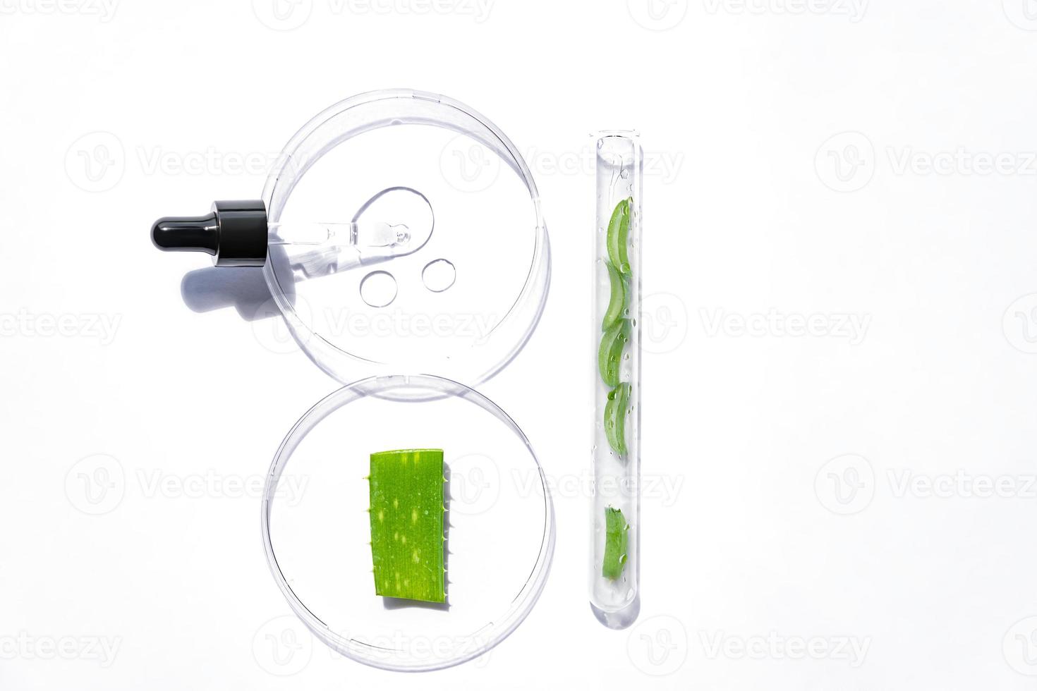 Glass petri dishes with transparent pure serum for skincare with aloe vera on white background, top view. Concept of laboratory tests and research, making green ecological cosmetics. photo