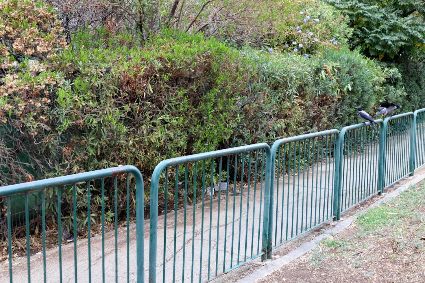 Road for walking in the city park. photo