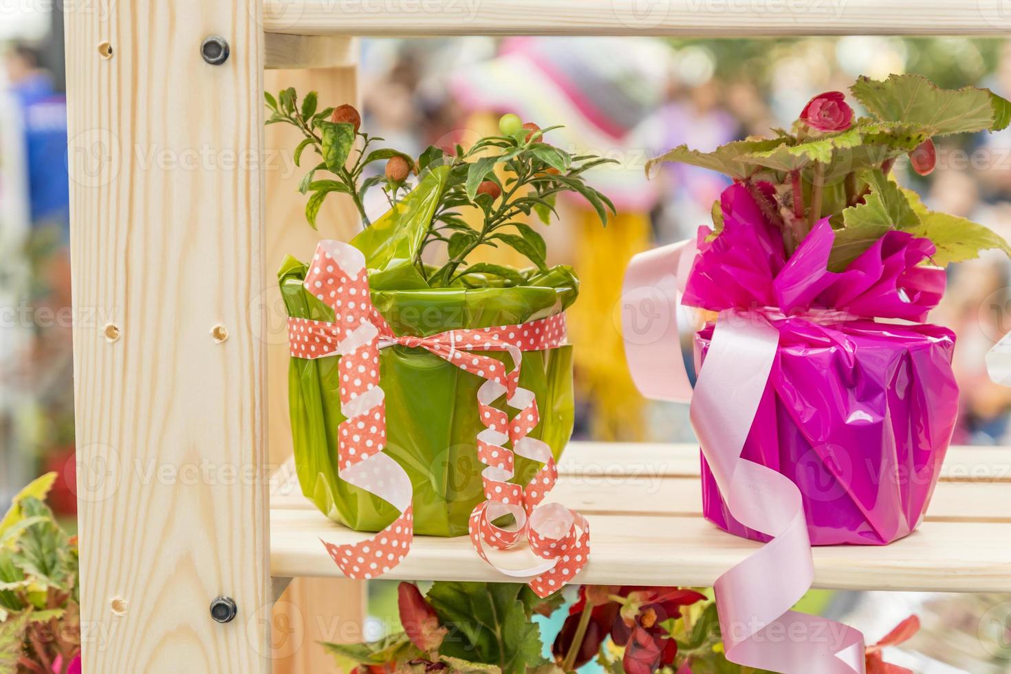 flowers in decorated pots on shelf outdors photo