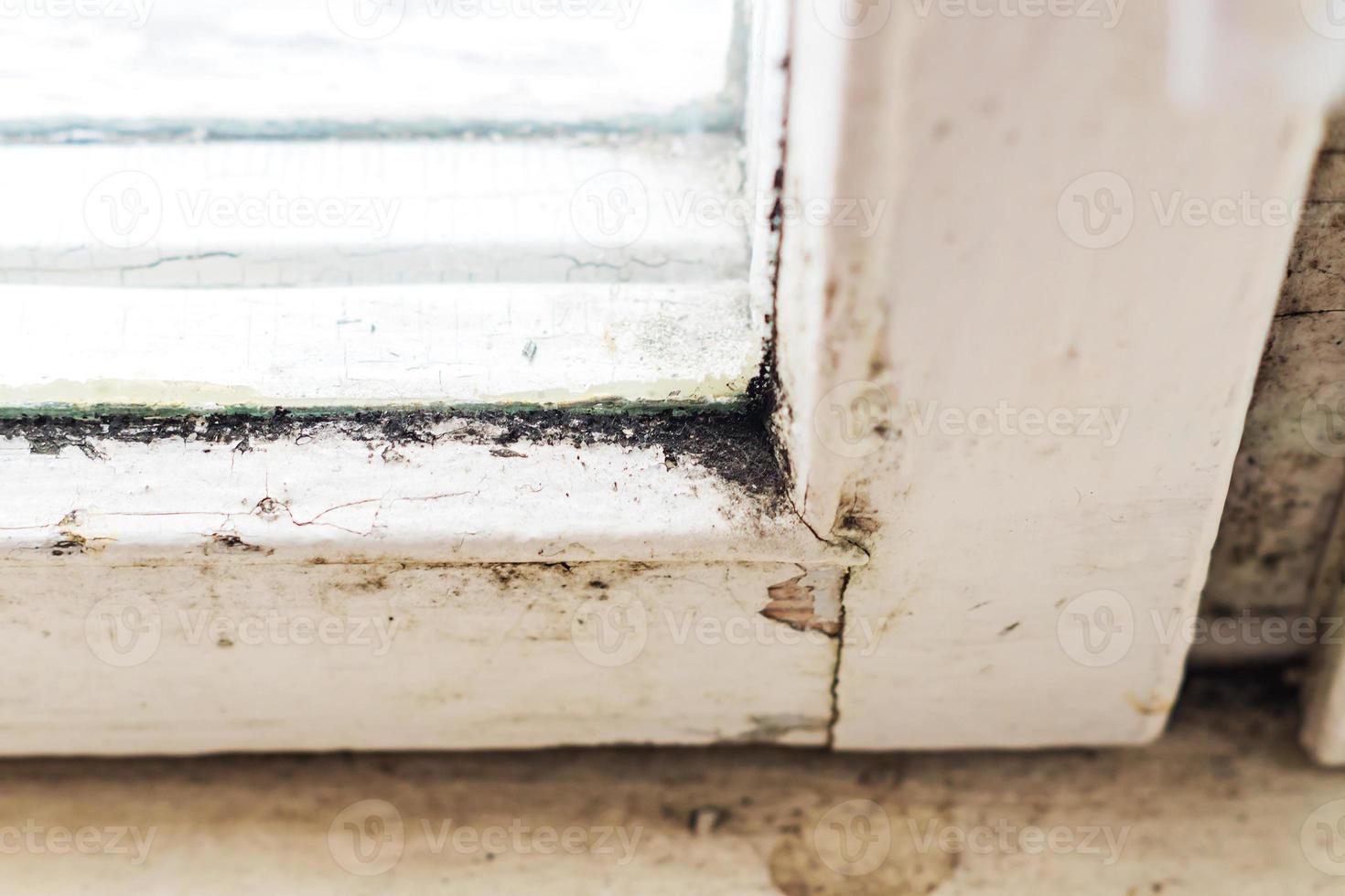 closeup of old dirty window sill photo