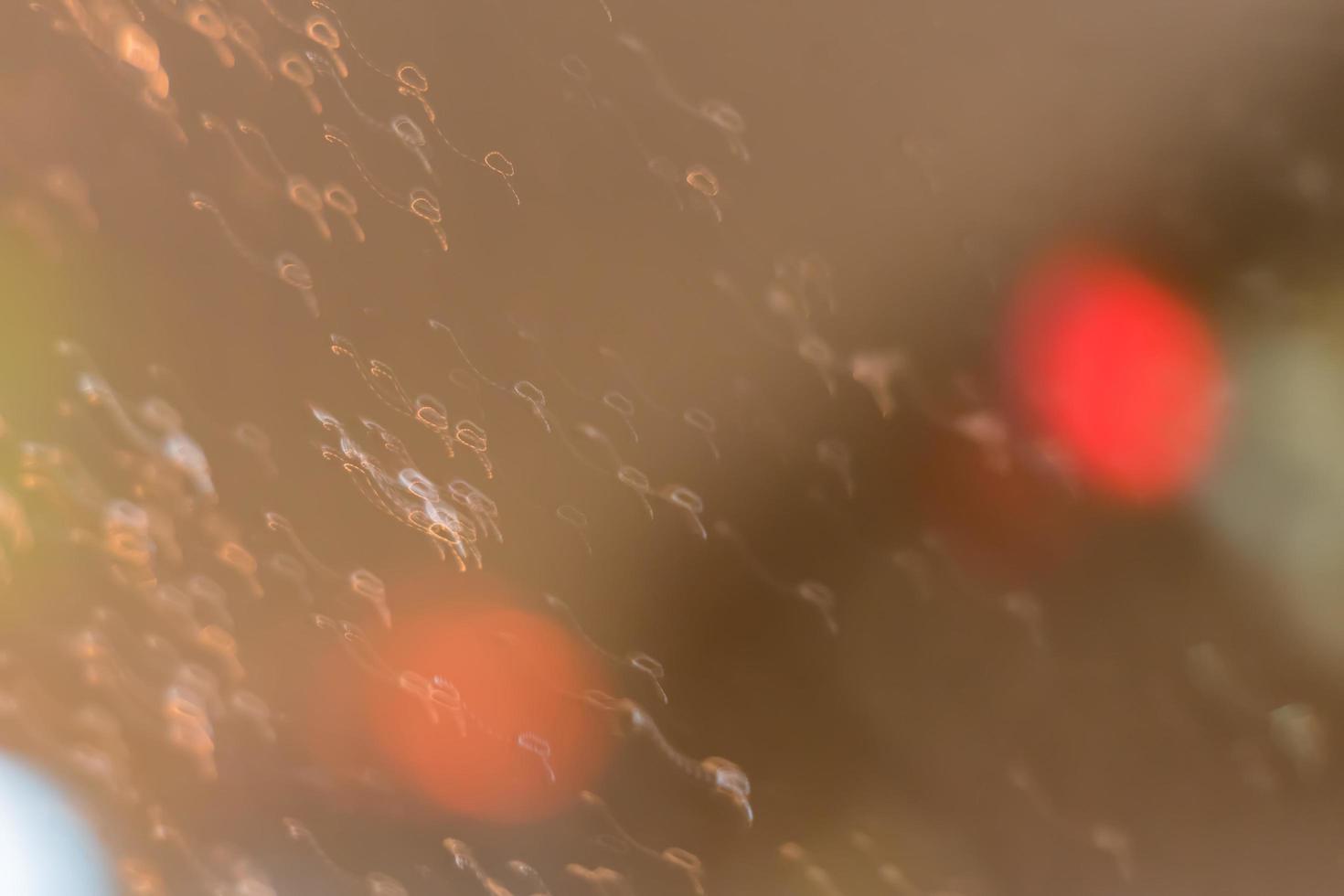 abstract blurred background photo