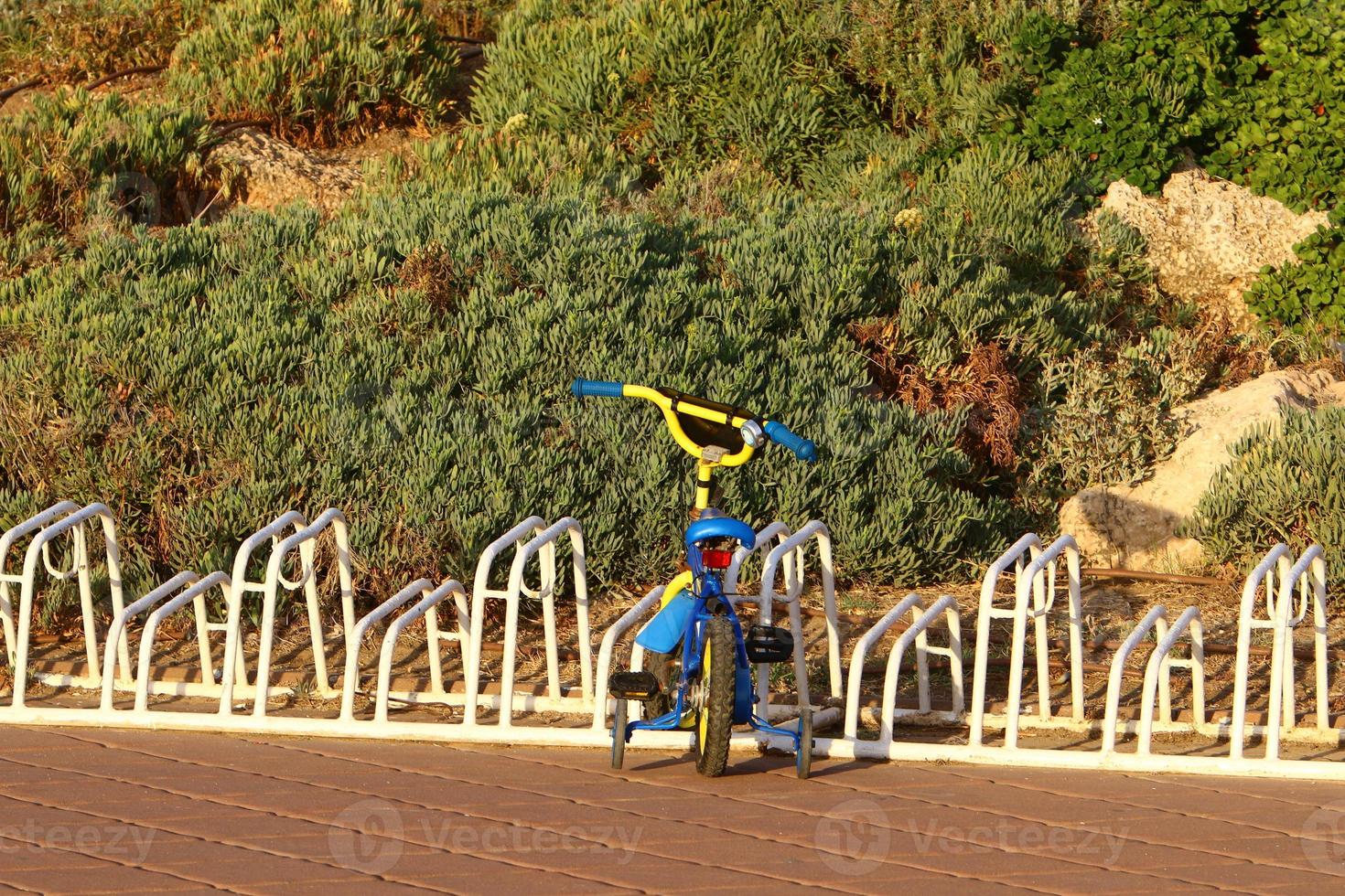 Spike is used for transportation of goods, used in various mechanisms and tools. photo