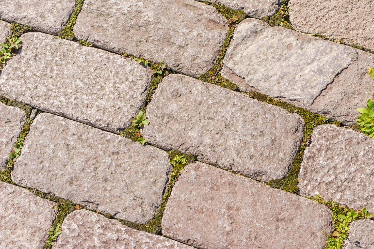 primer plano pavimento piedra textura de fondo foto