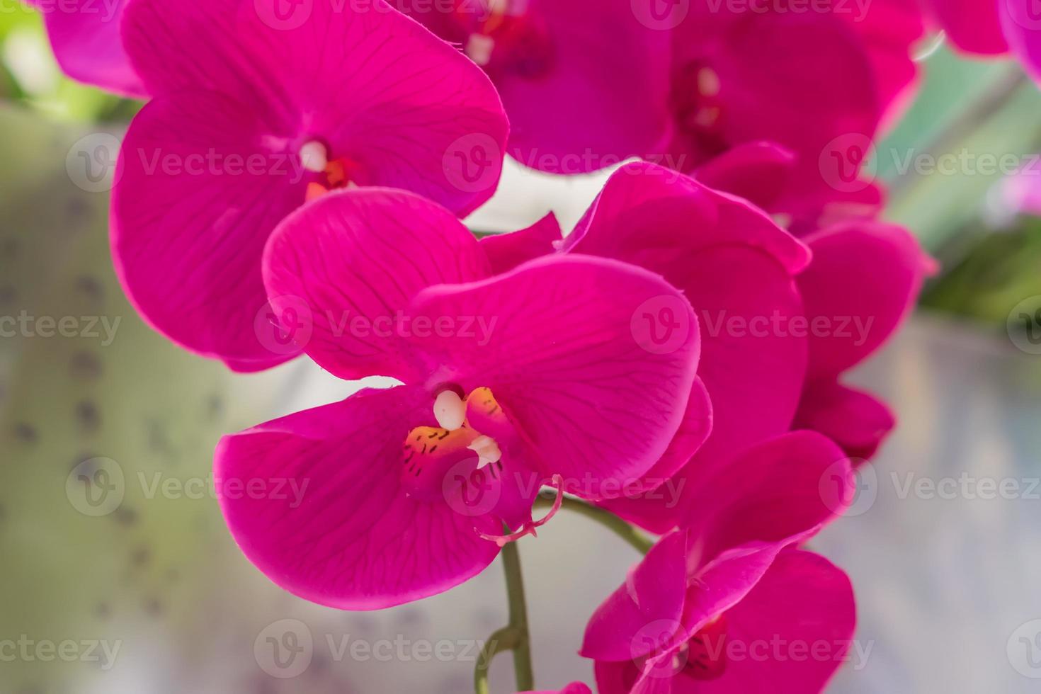 decoración de flores de orquídeas artificiales 9995692 Foto de stock en  Vecteezy