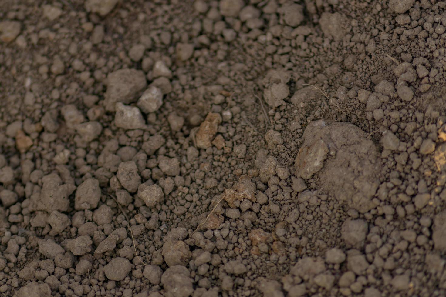 close up of soil background. photo