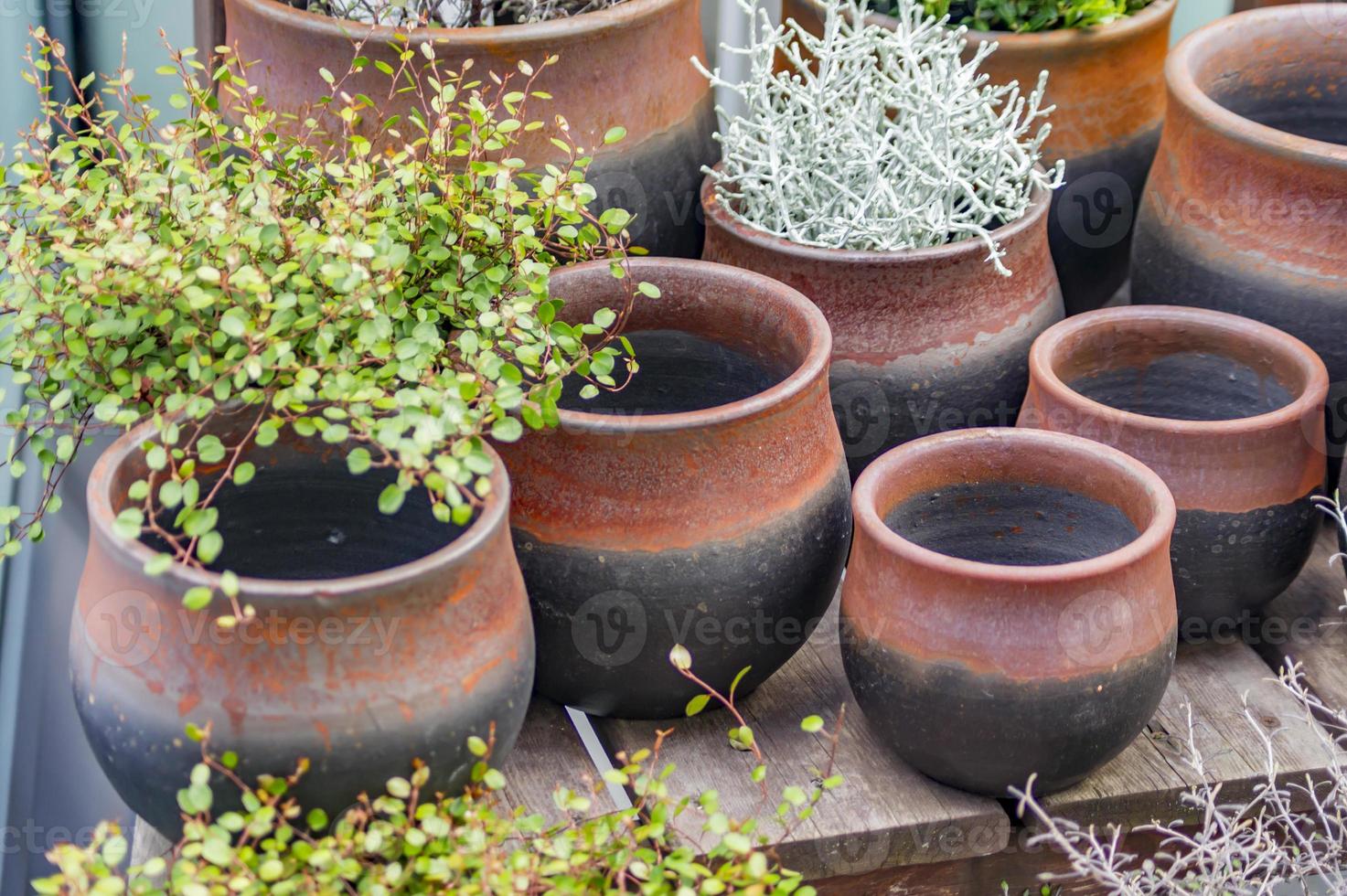 muchas macetas de arcilla, vacías y con plantas en un estante de madera foto