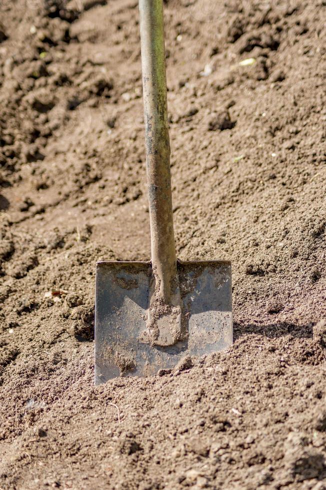 Shovel in the ground photo