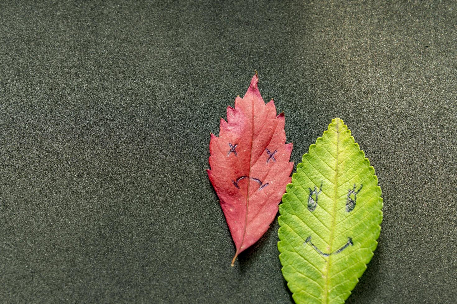 Green and red leaves with a picture of happy and sad faces on black background photo