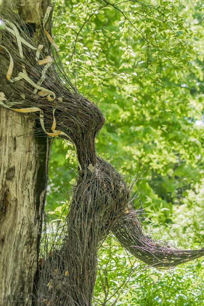 mujer hecha con ramas de arbol foto